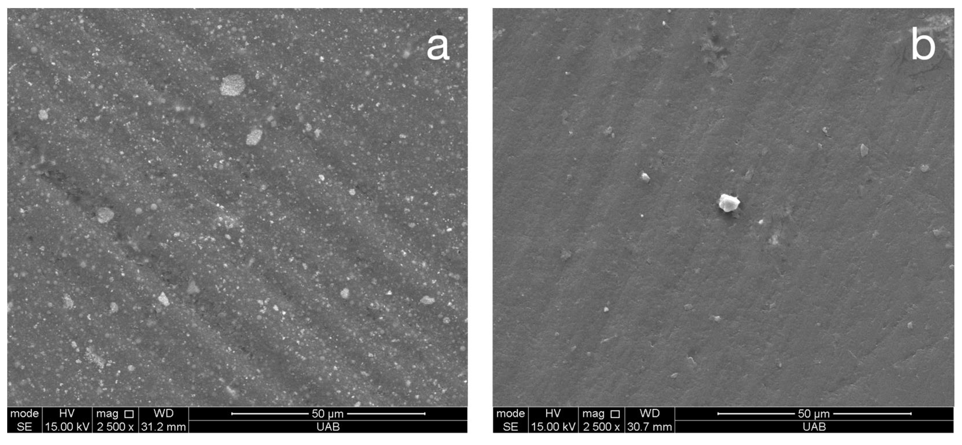 Materials 18 03308 g006