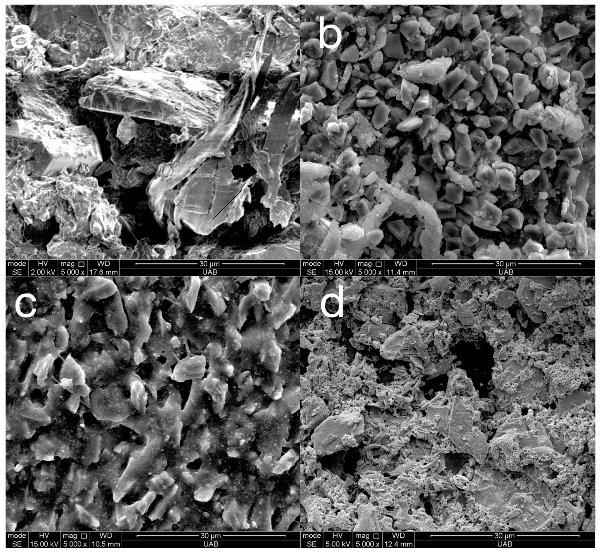 Materials 18 03308 g008