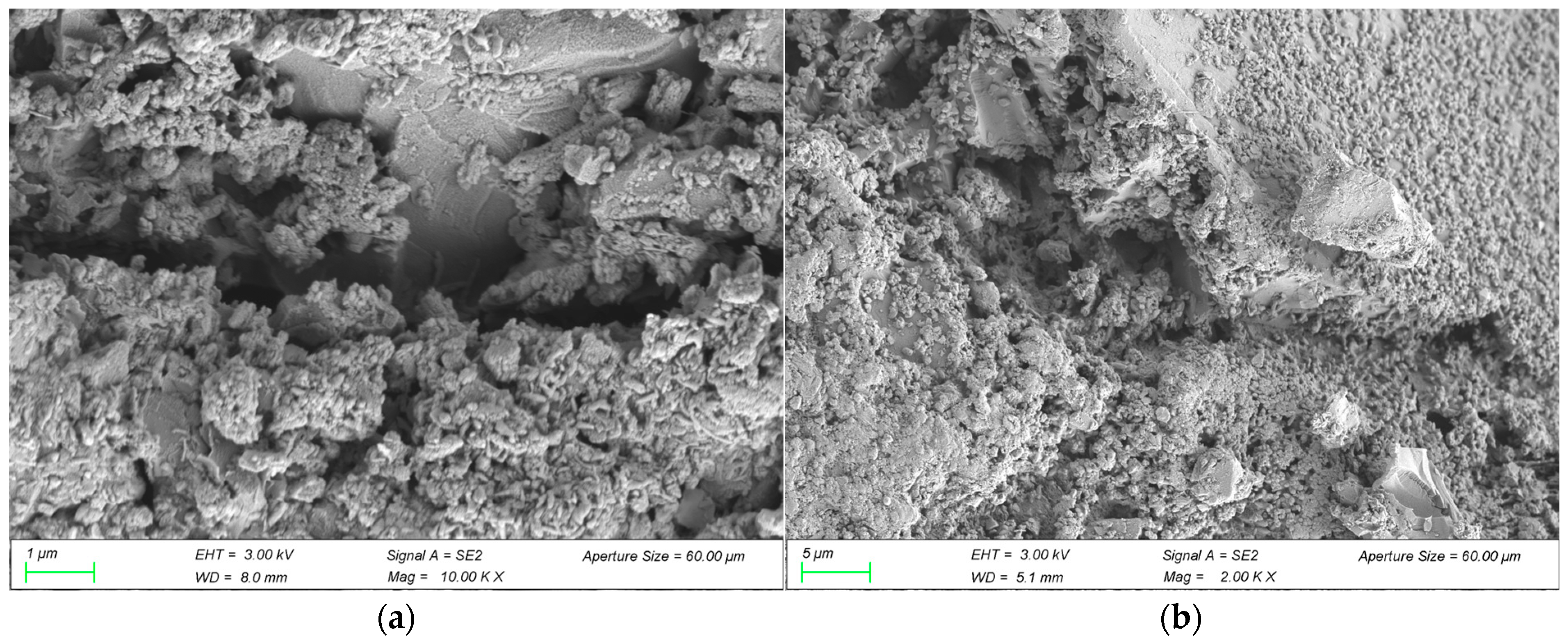 Materials 18 03321 g006