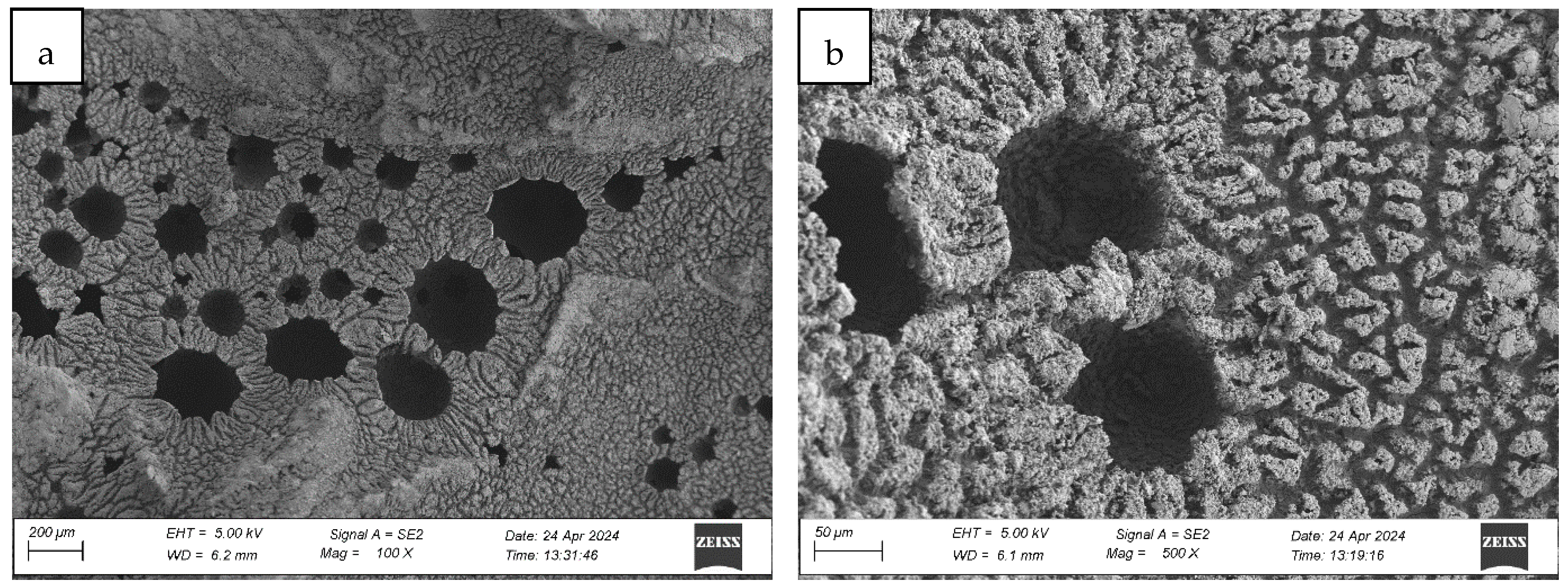 Materials 18 03342 g007