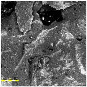 Materials 18 03342 i002