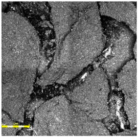 Materials 18 03342 i004