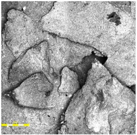 Materials 18 03342 i006