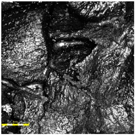 Materials 18 03342 i007