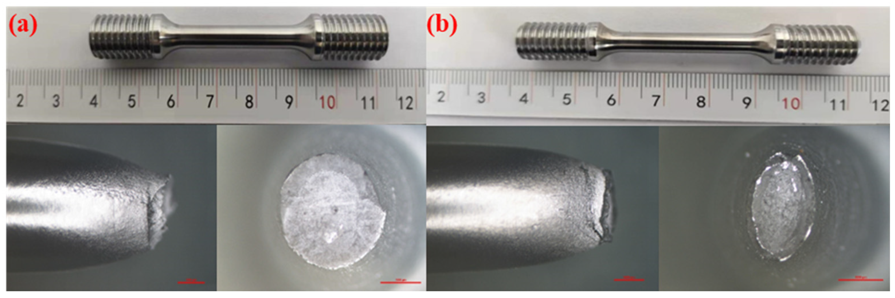 Materials 18 03417 g019