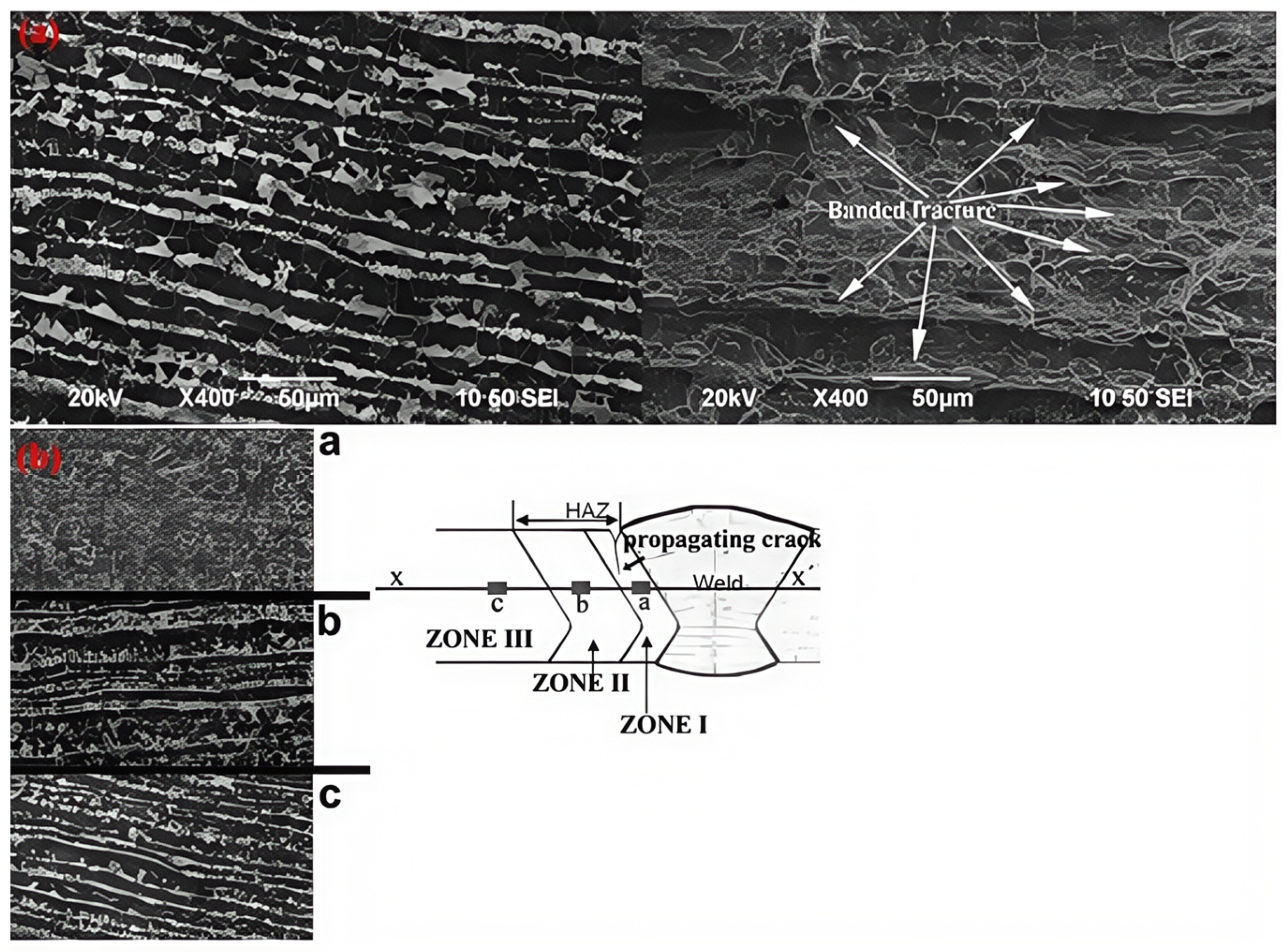 Materials 18 03417 g025