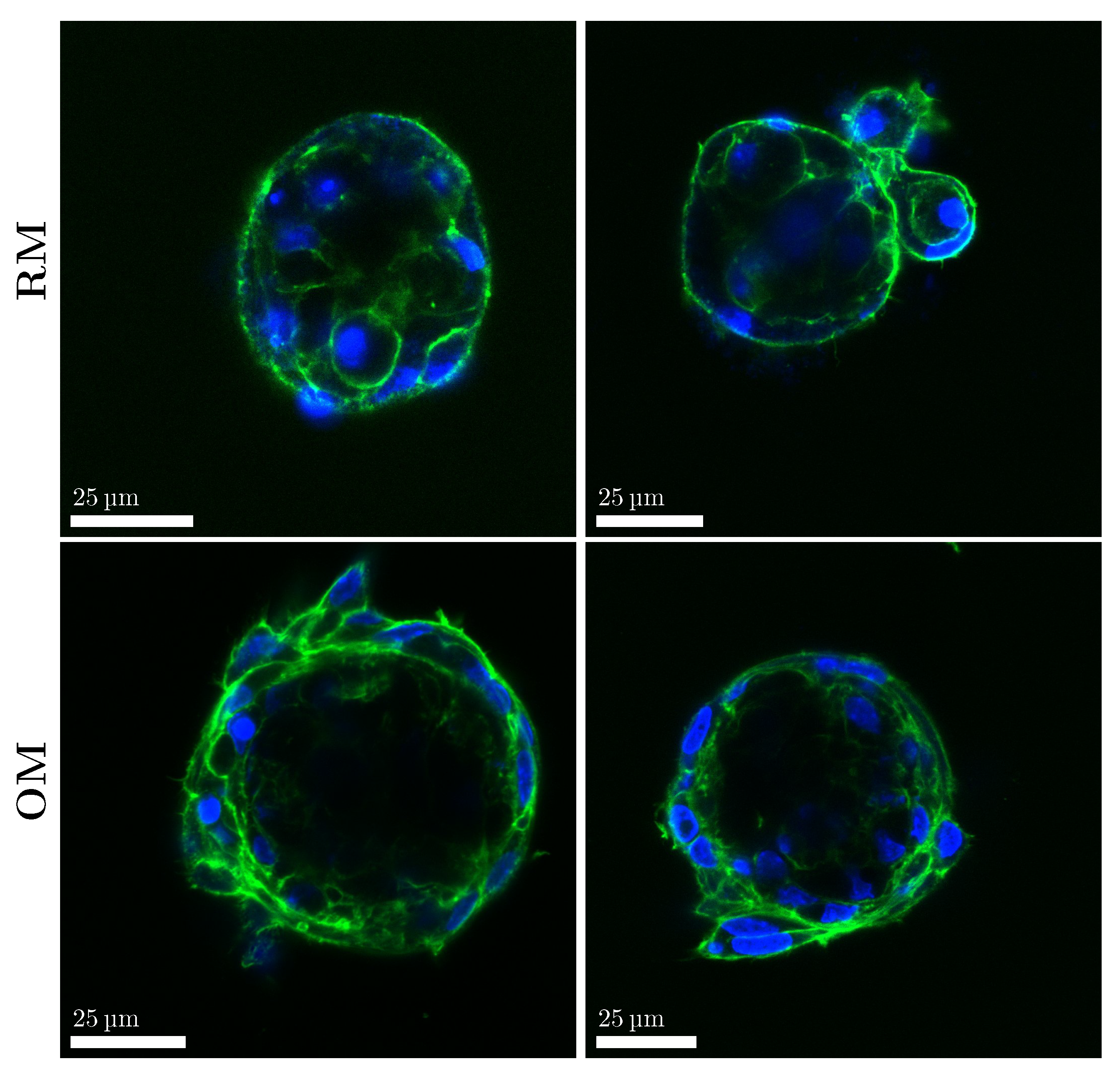 Materials 18 03538 g005