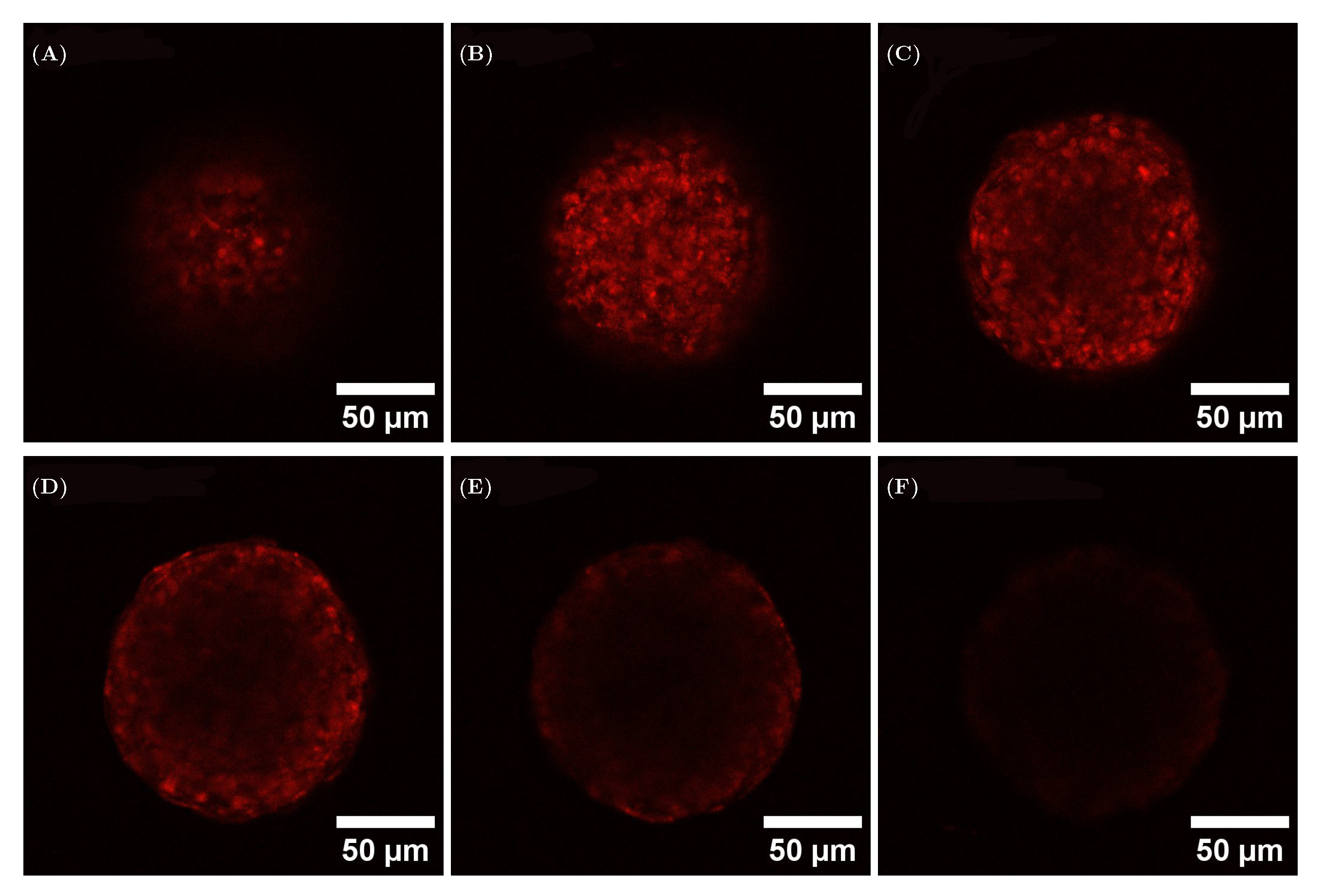 Materials 18 03538 g006