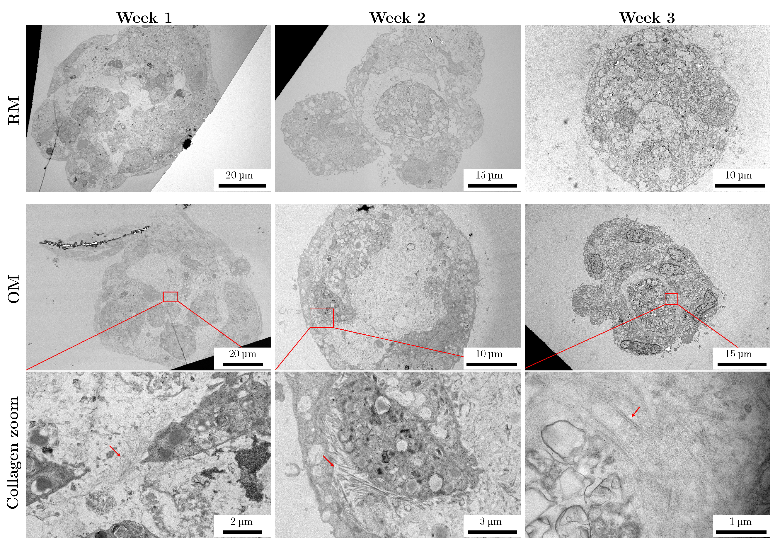 Materials 18 03538 g008