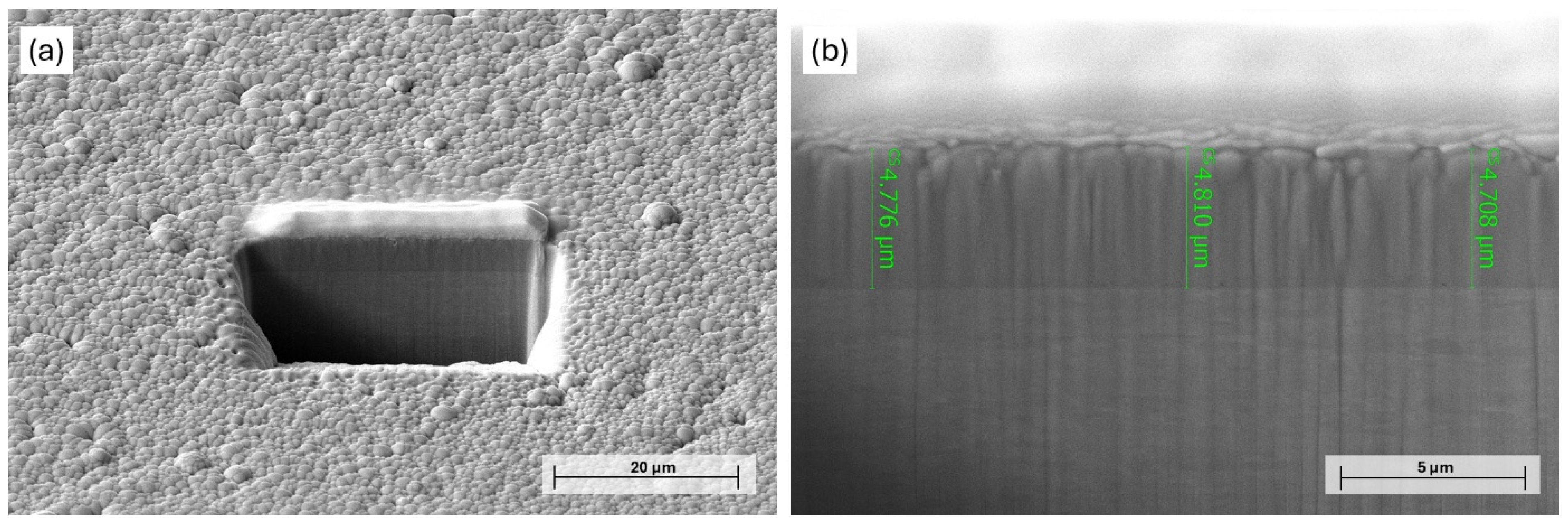 Materials 18 03544 g001