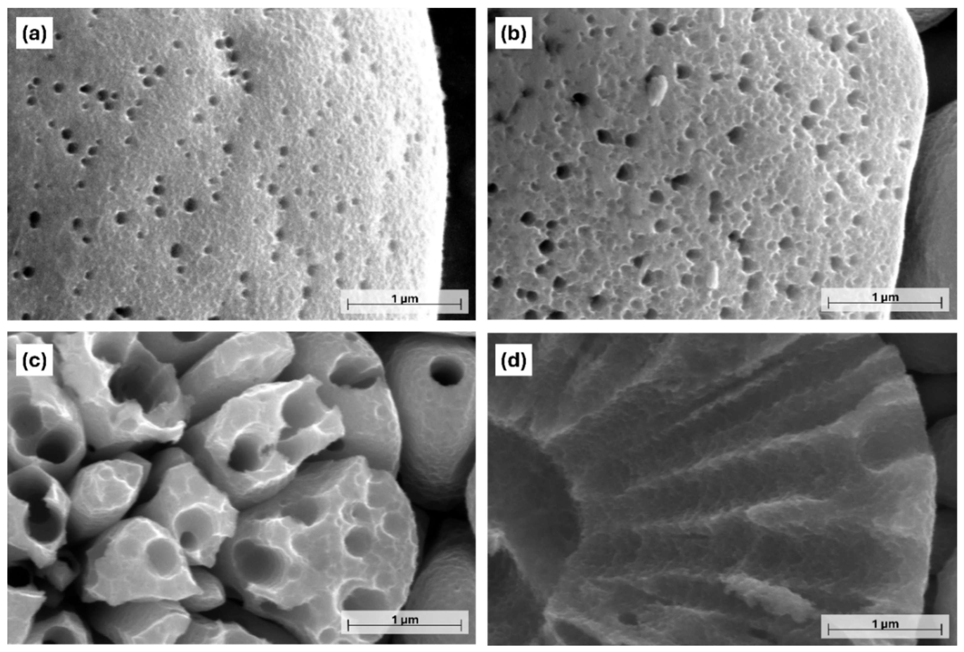 Materials 18 03544 g004