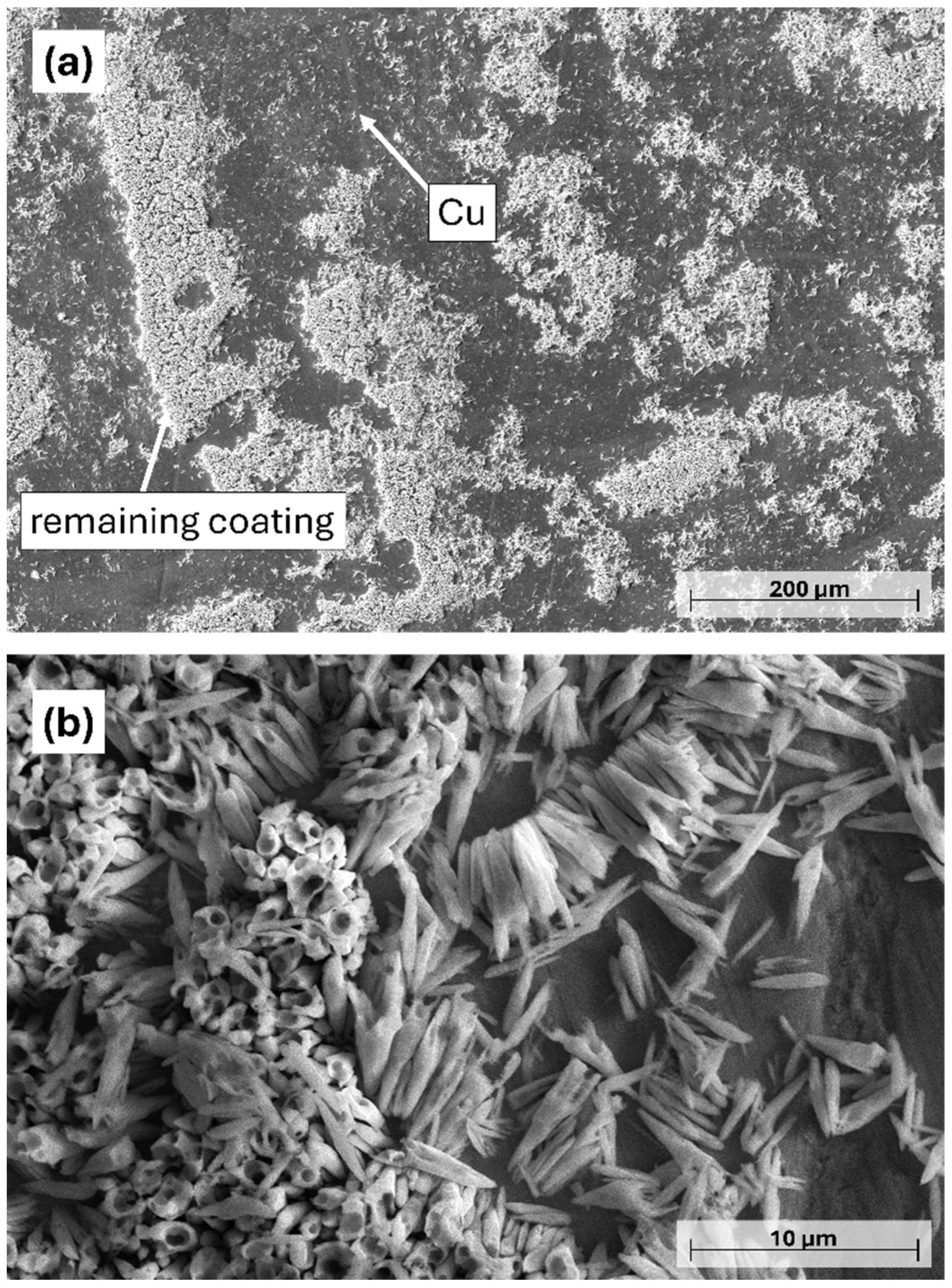 Materials 18 03544 g006