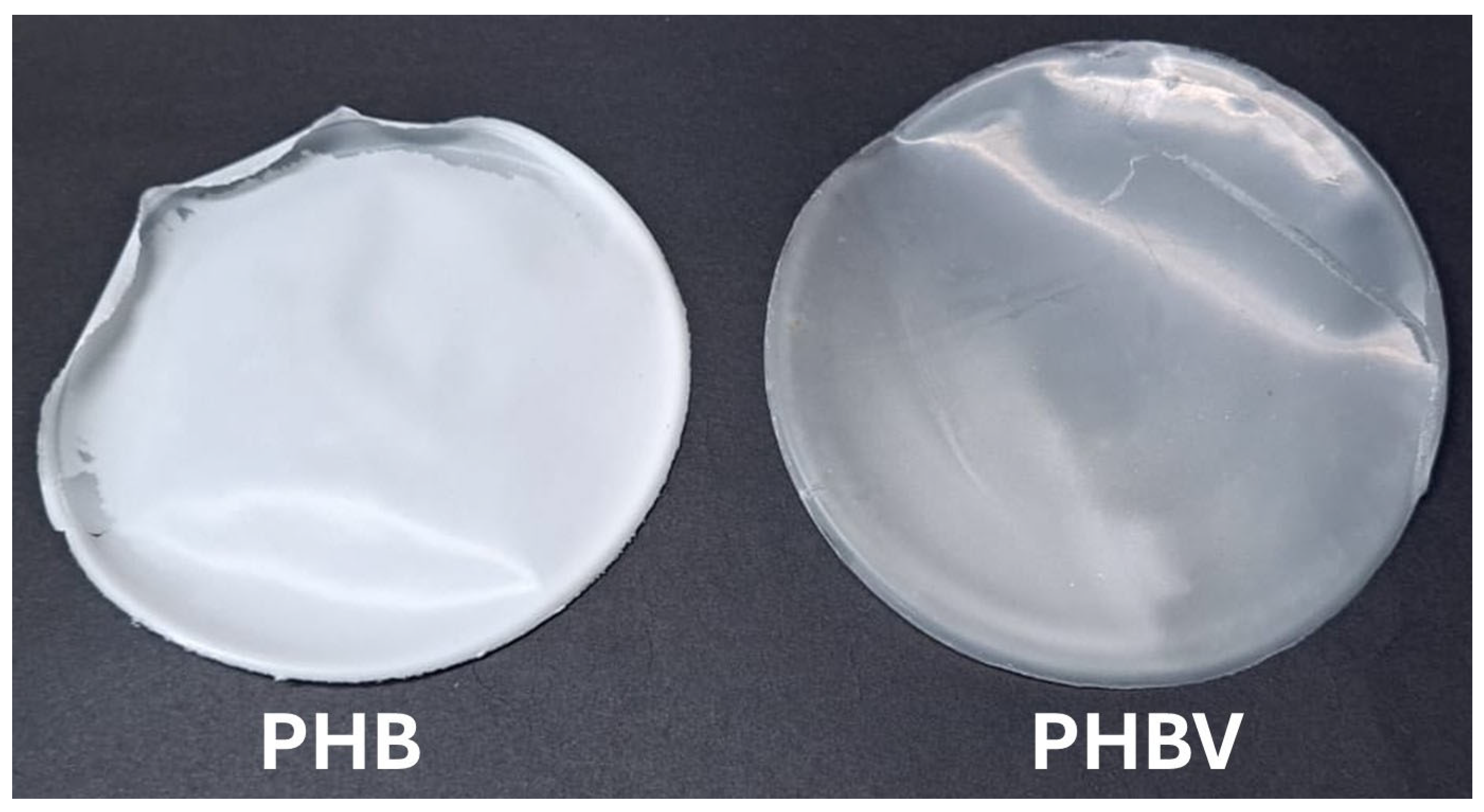 Materials 18 03577 g005