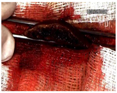 Materials 18 03581 i001