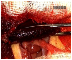 Materials 18 03581 i002