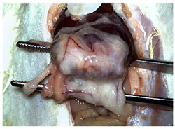 Materials 18 03581 i009