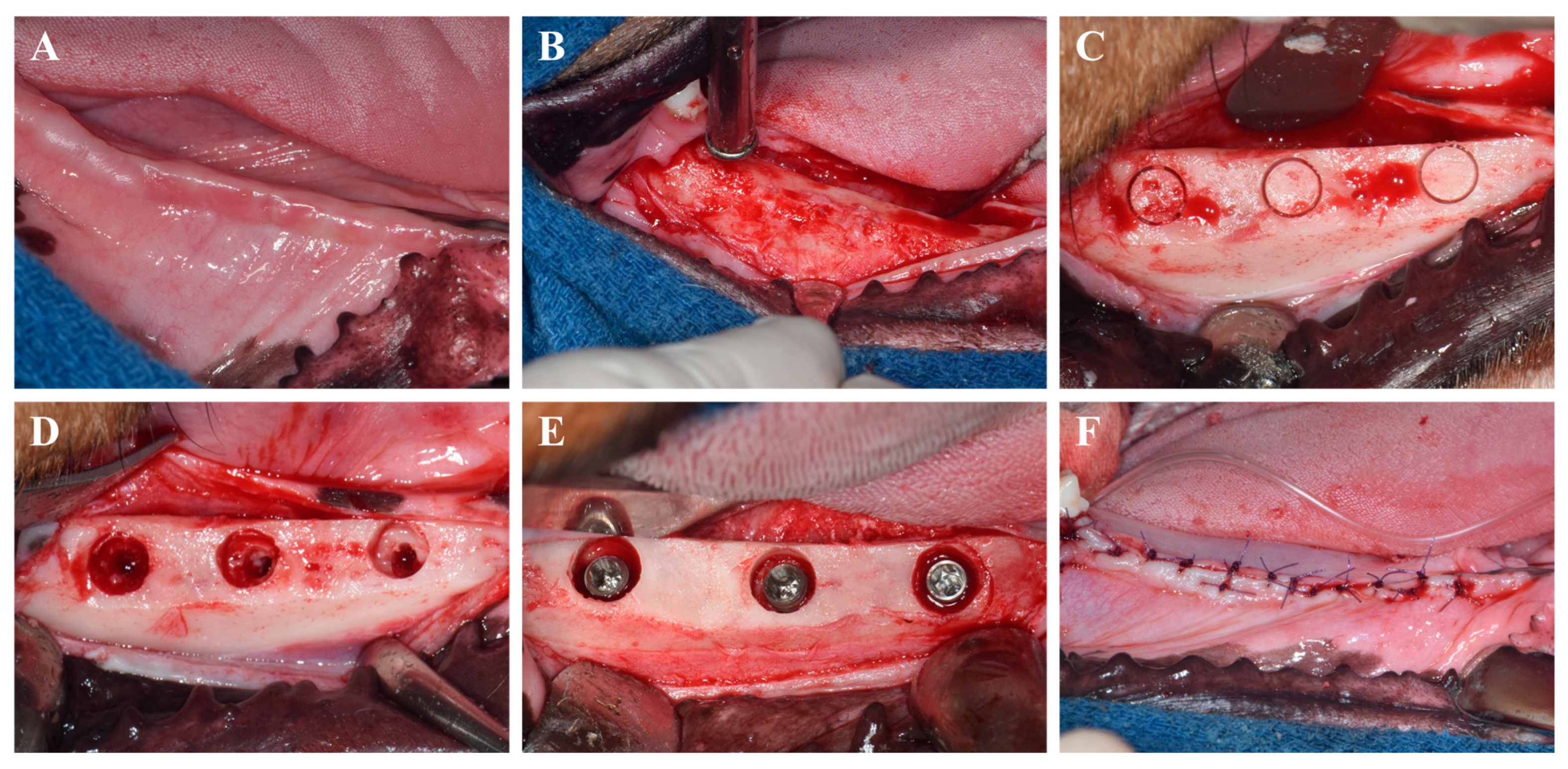 Materials 18 03582 g001