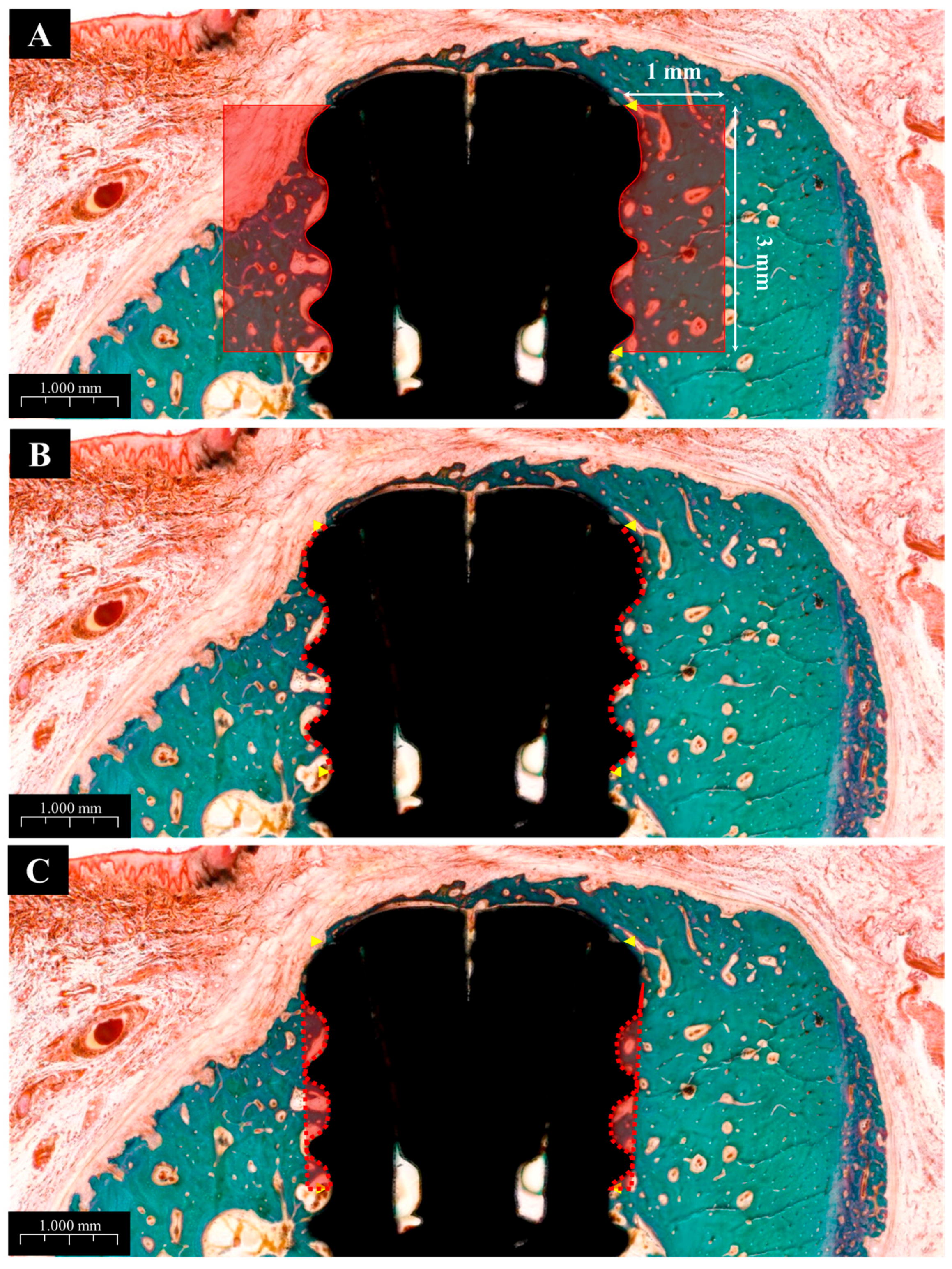 Materials 18 03582 g004