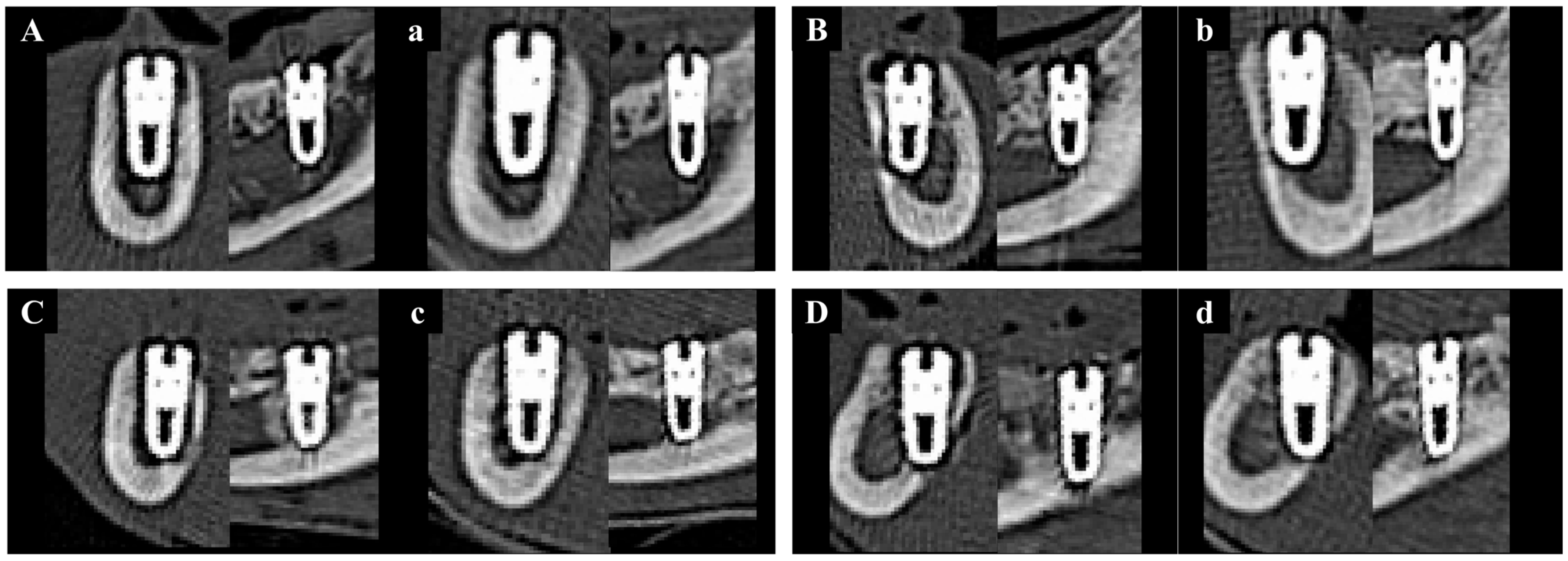 Materials 18 03582 g010