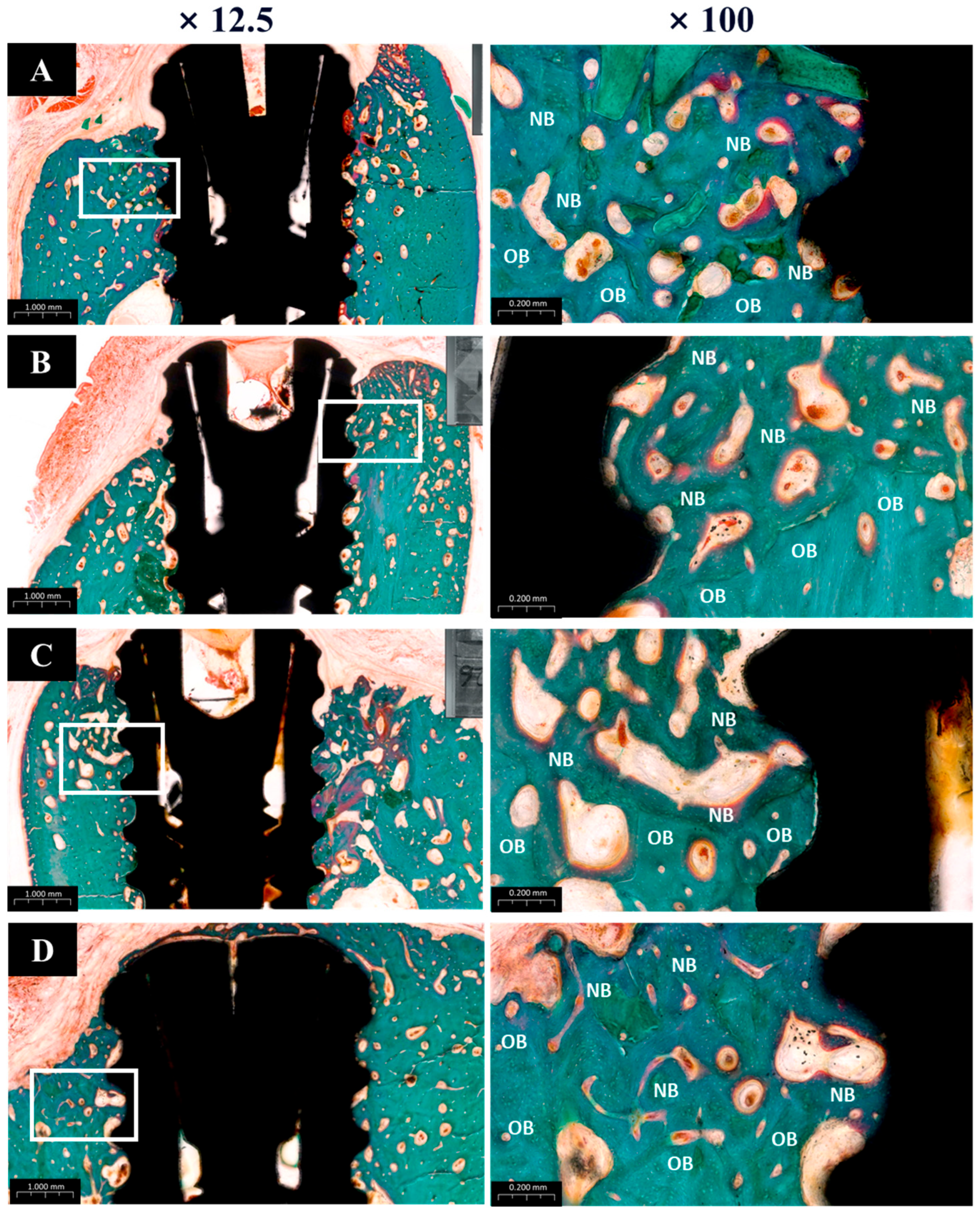 Materials 18 03582 g012