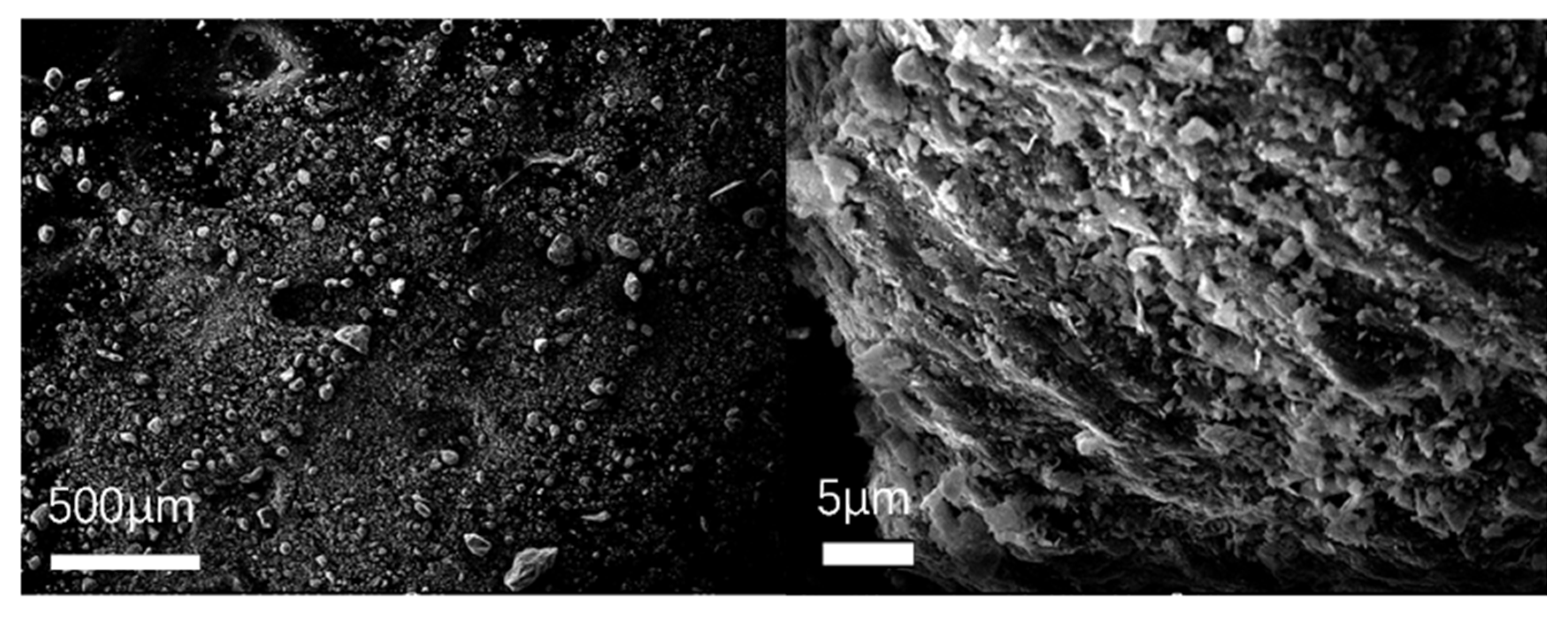 Materials 18 03660 g005