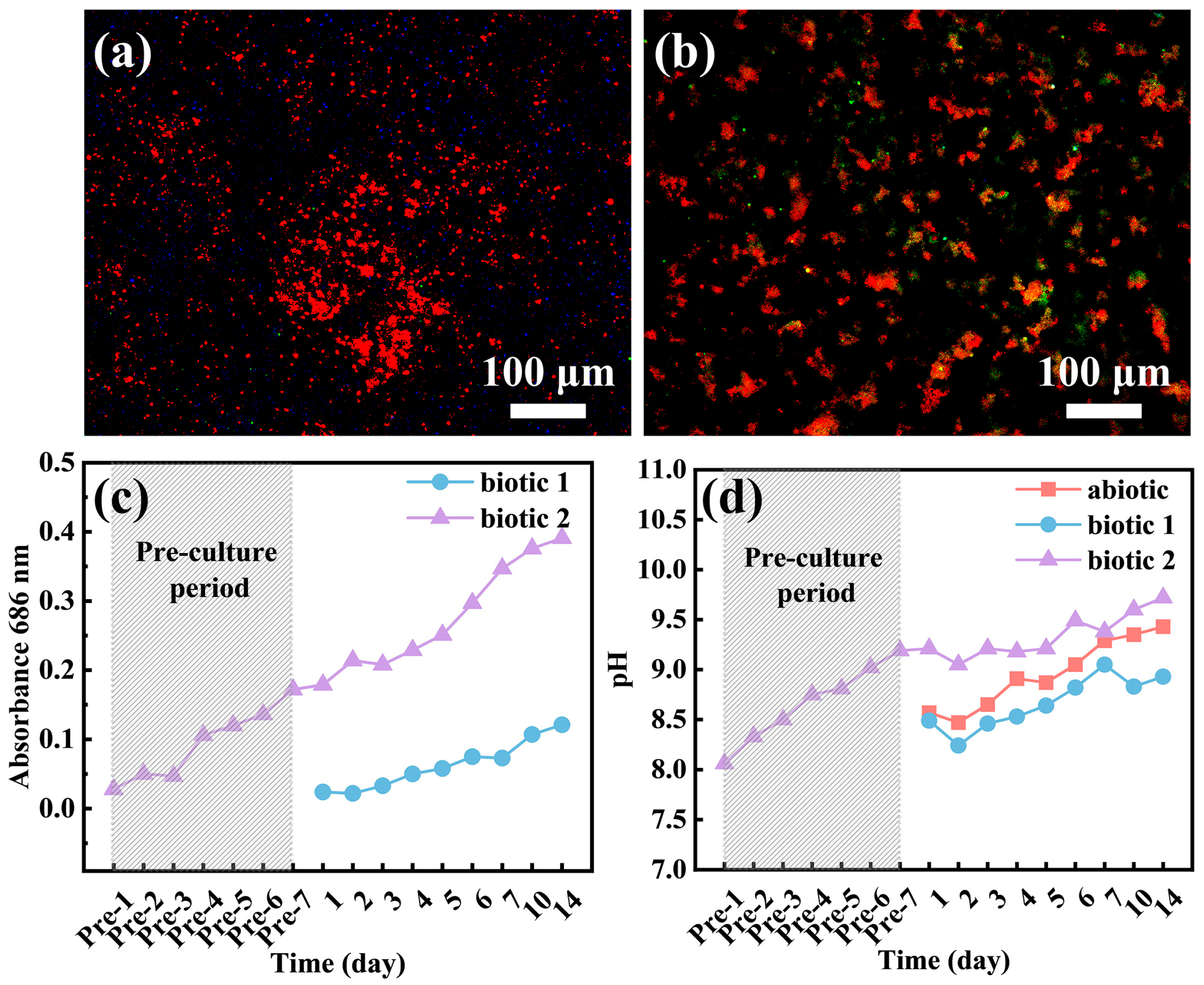 Materials 18 03698 g009