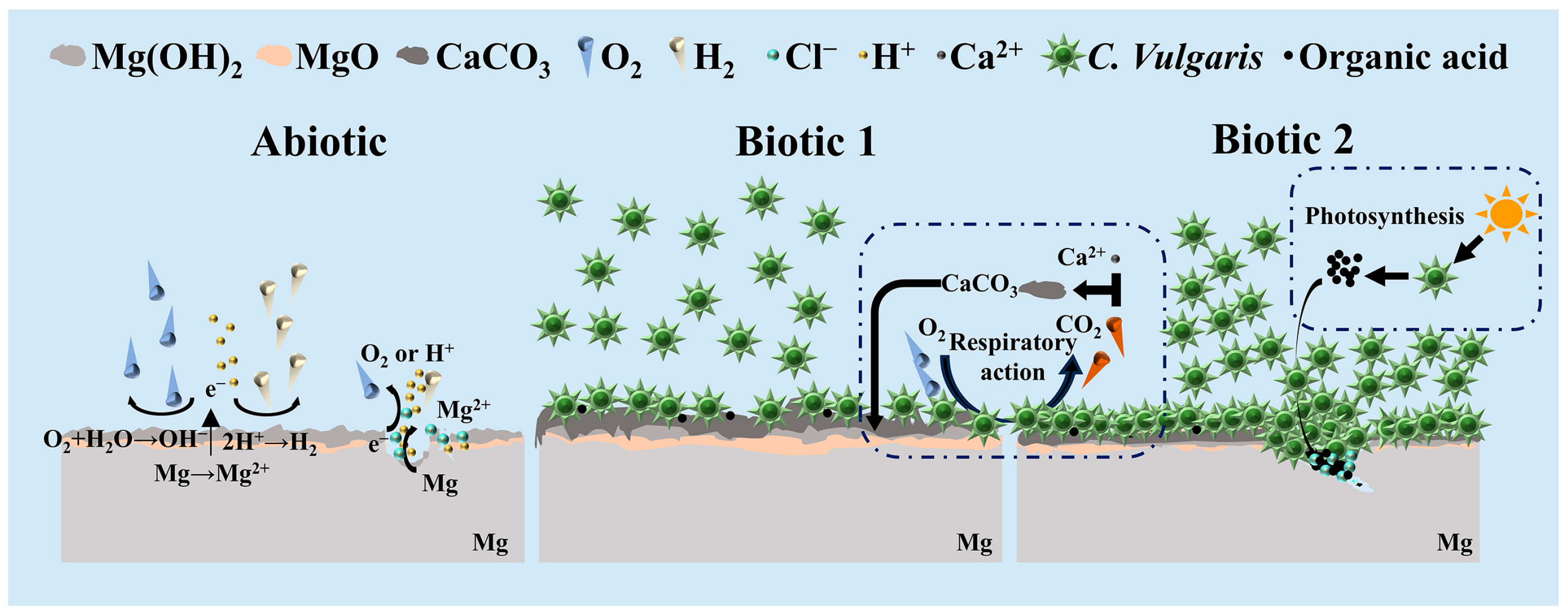Materials 18 03698 g010