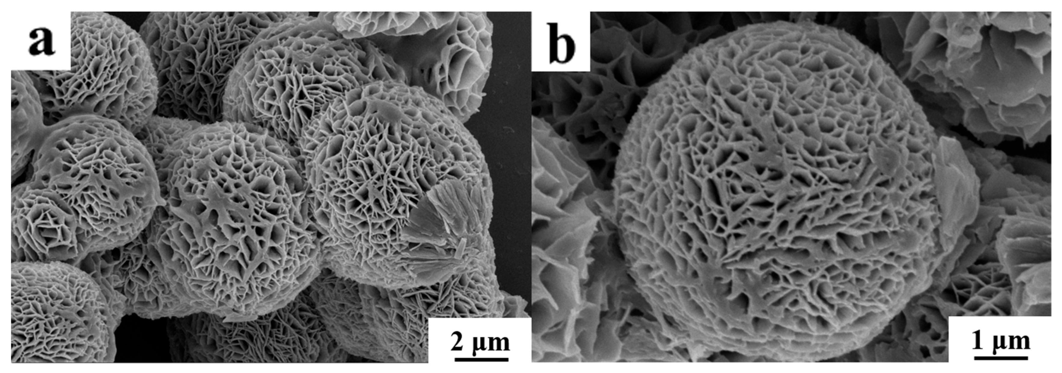 Materials 18 03780 g001