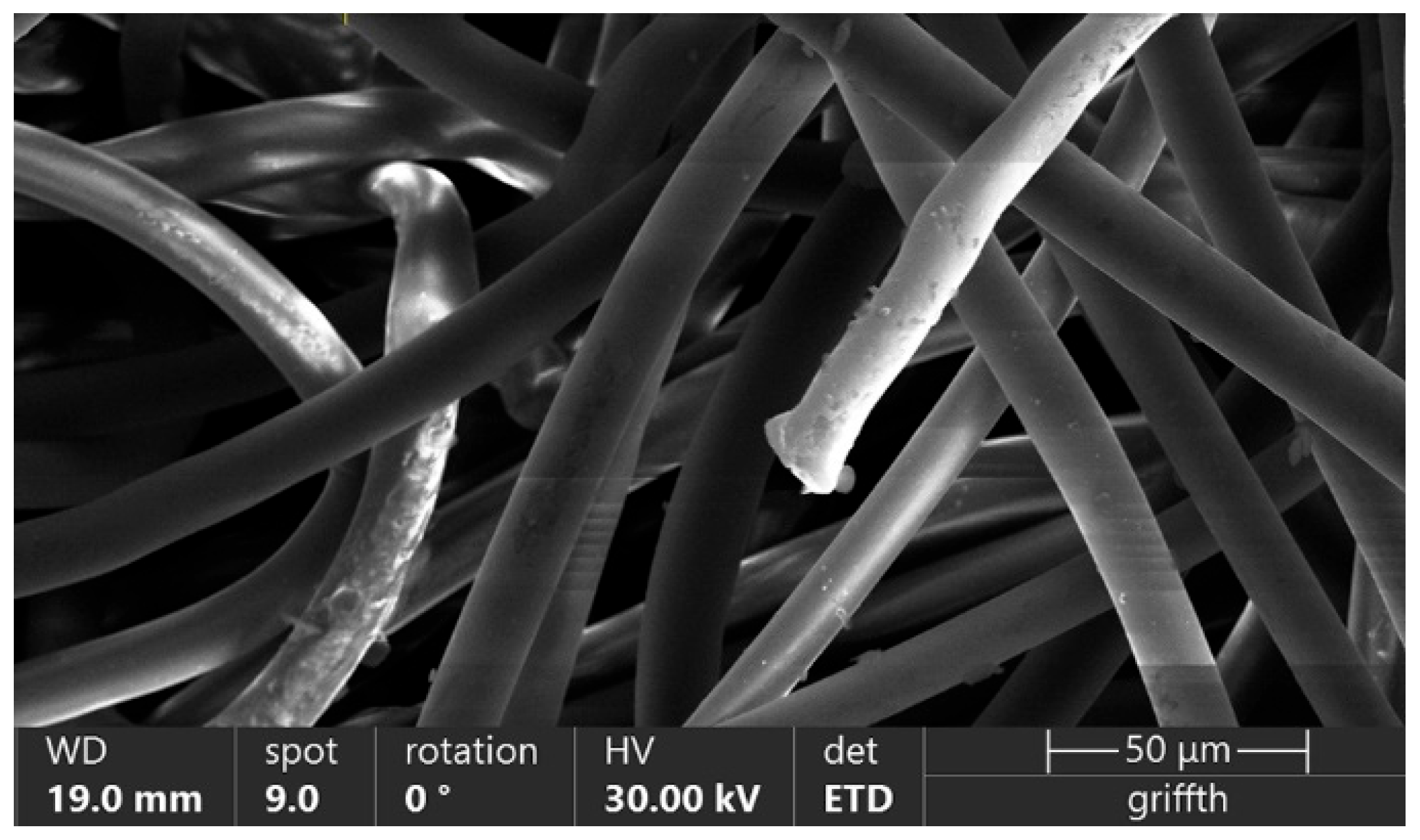 Materials 18 03781 g002