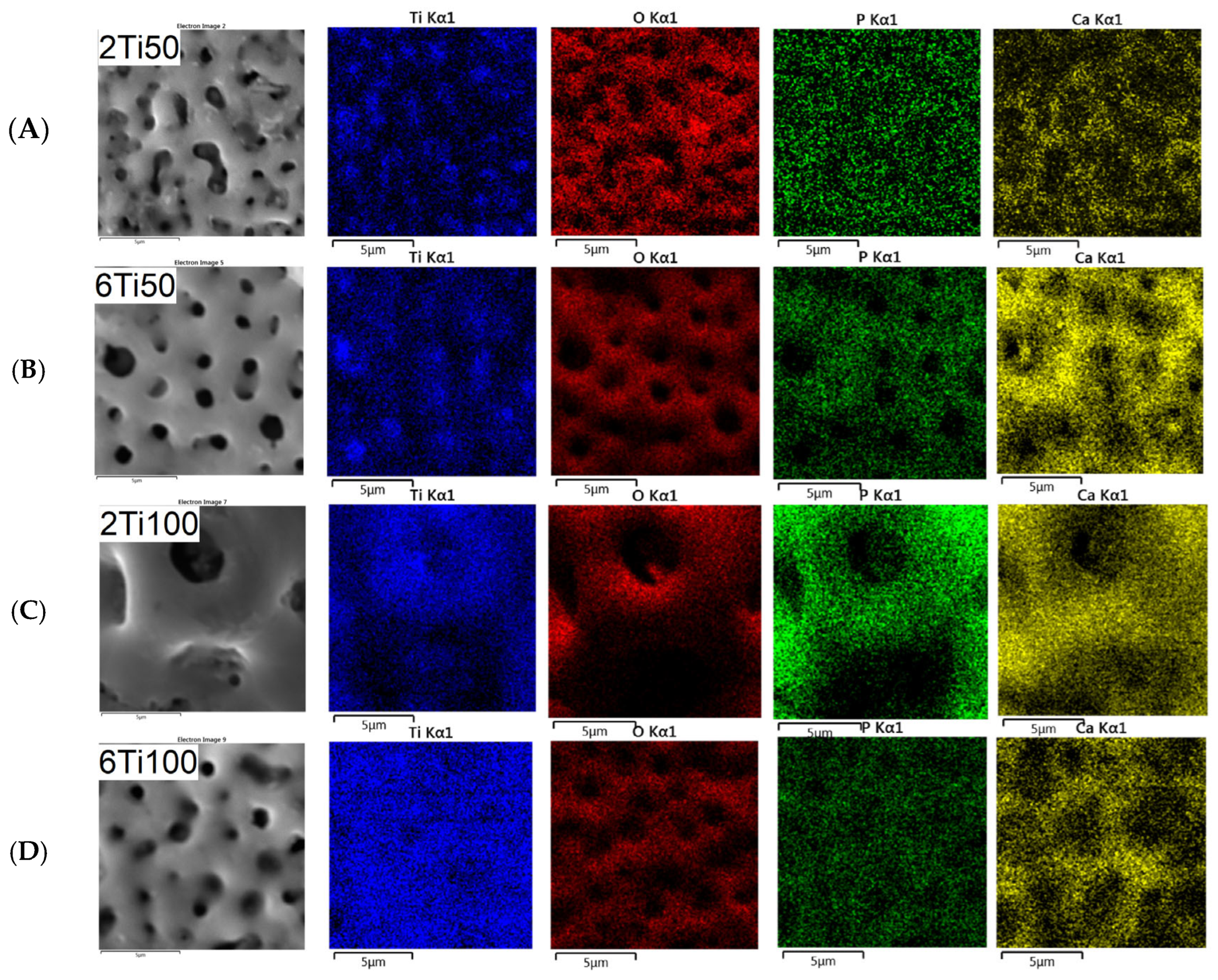 Materials 18 03792 g003