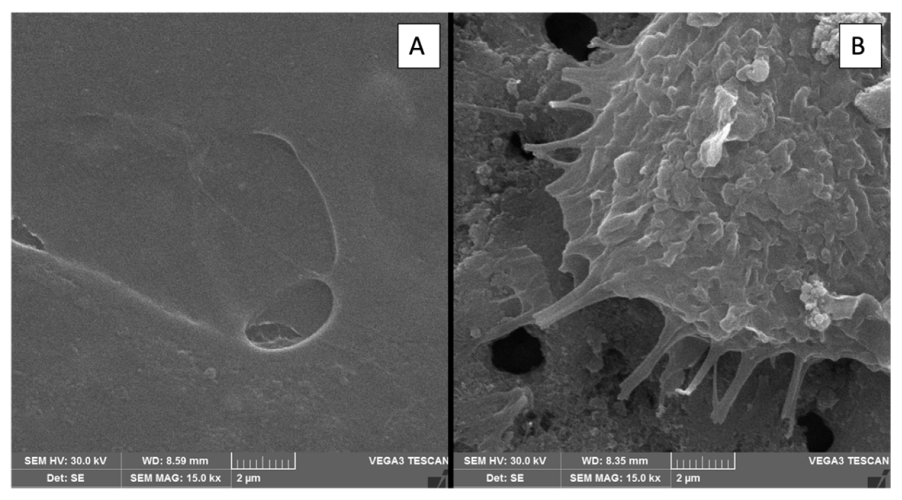 Materials 18 03792 g009