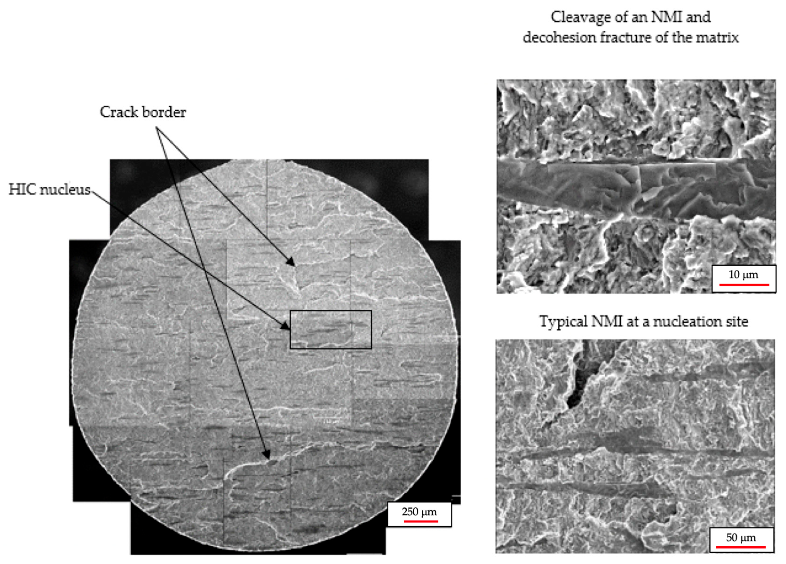 Materials 18 03813 g009