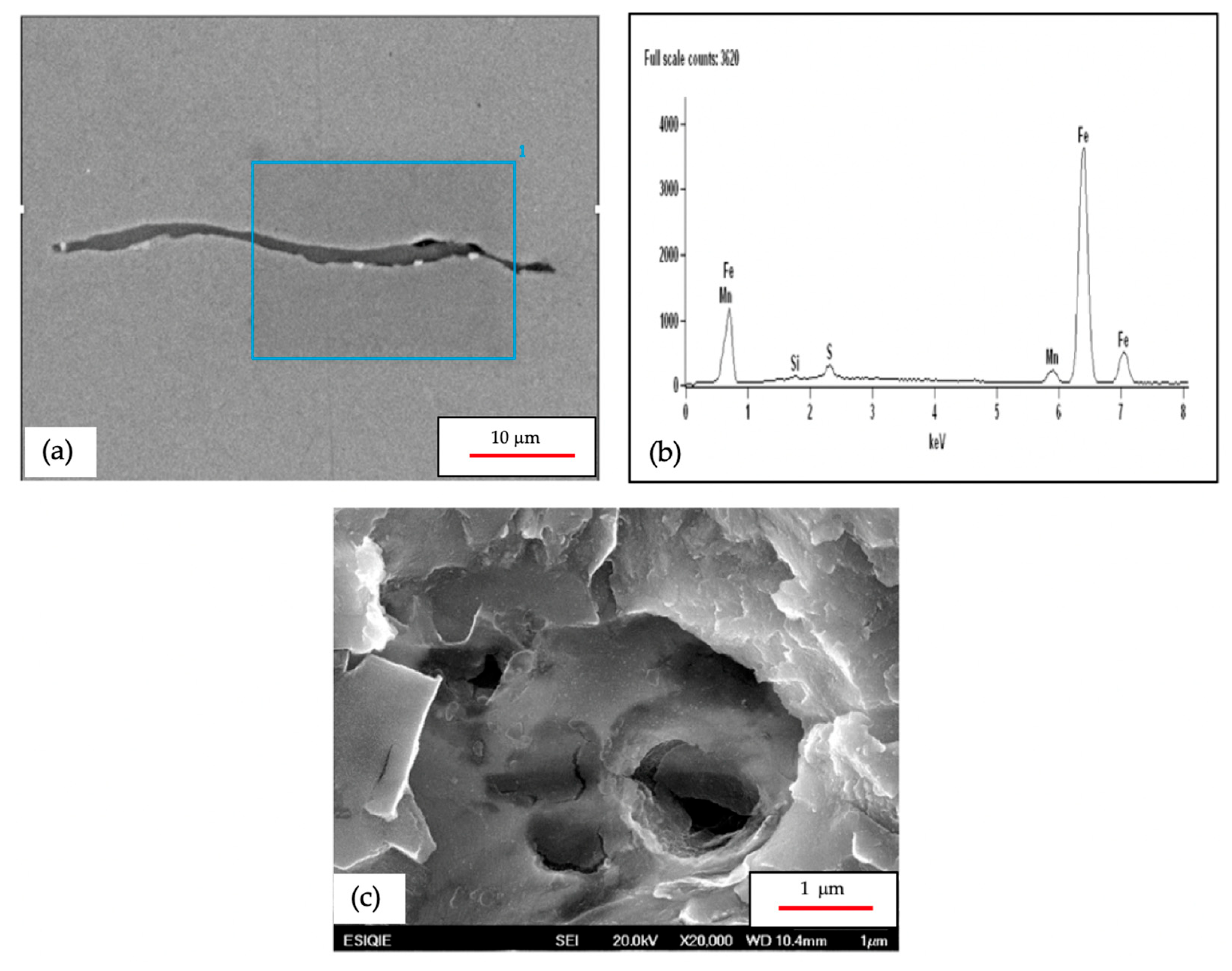 Materials 18 03813 g010