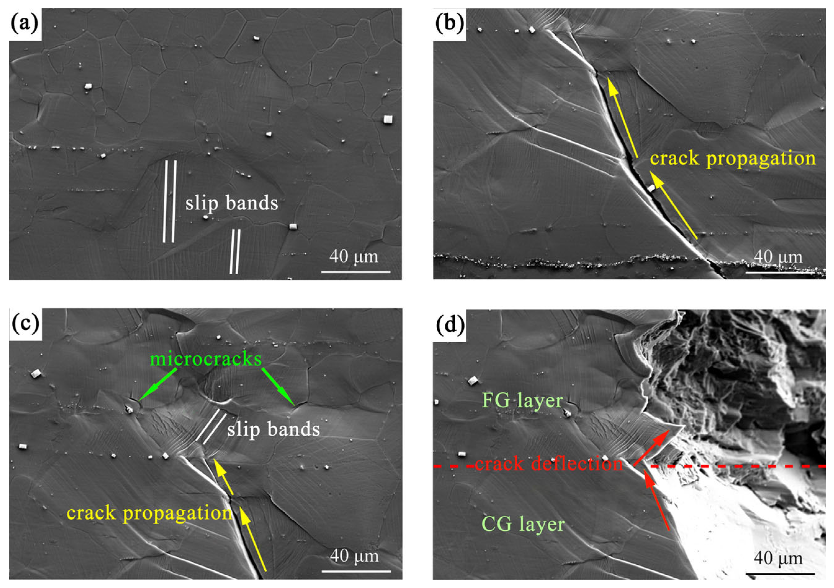 Materials 18 03818 g004 Materials 18 03818 g004