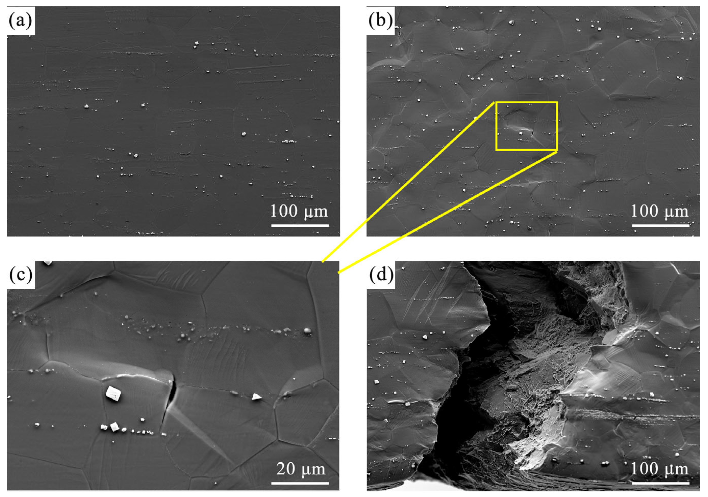 Materials 18 03818 g005 Materials 18 03818 g005