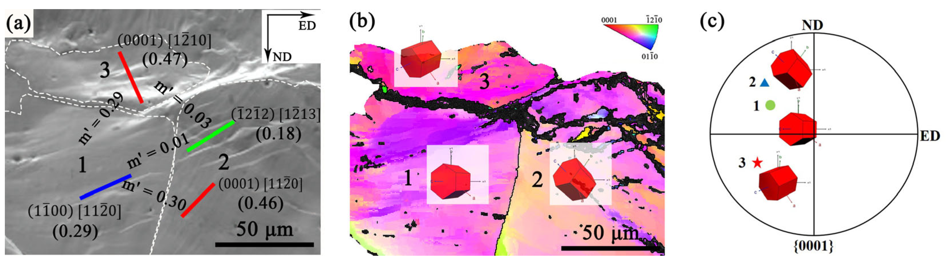 Materials 18 03818 g008 Materials 18 03818 g008