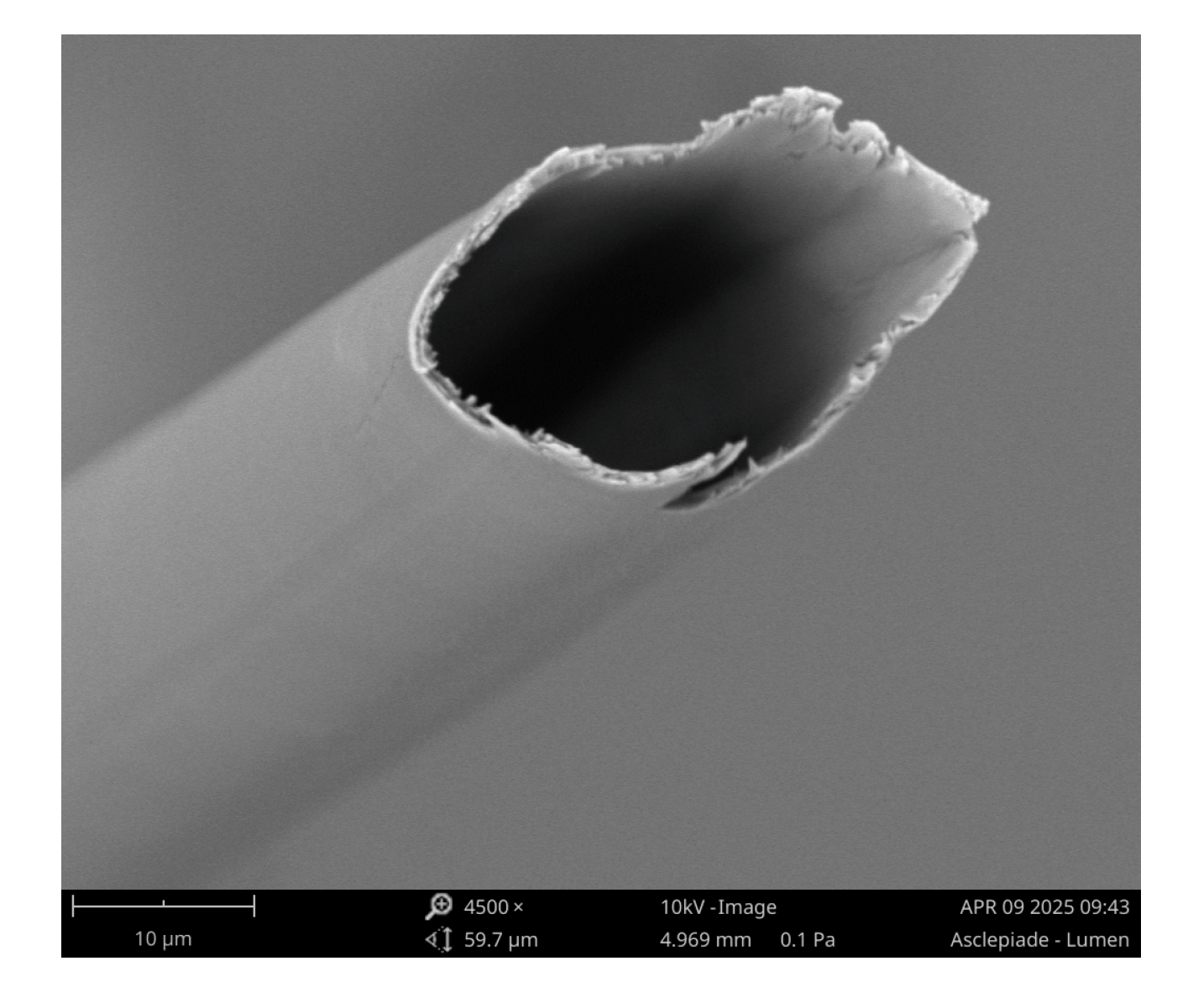 Materials 18 03821 g001 Materials 18 03821 g001