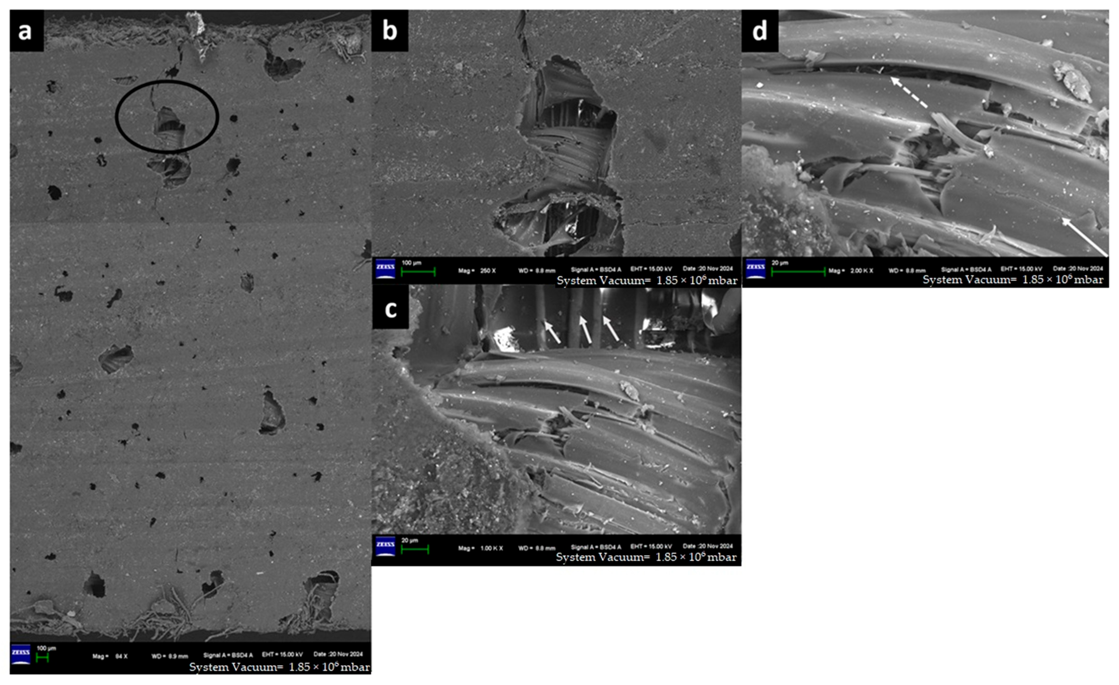 Materials 18 03852 g024 Materials 18 03852 g024