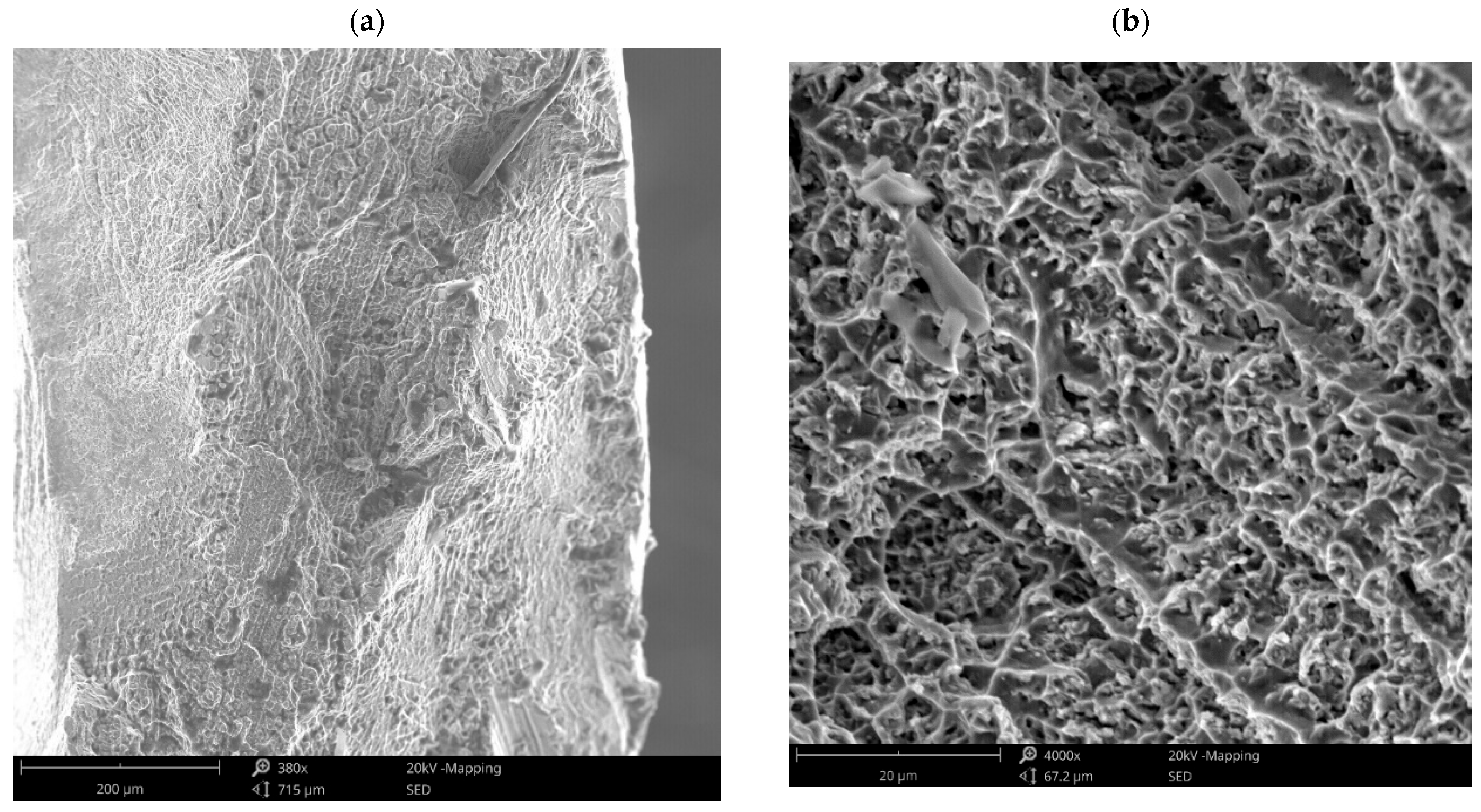 Materials 18 03896 g007