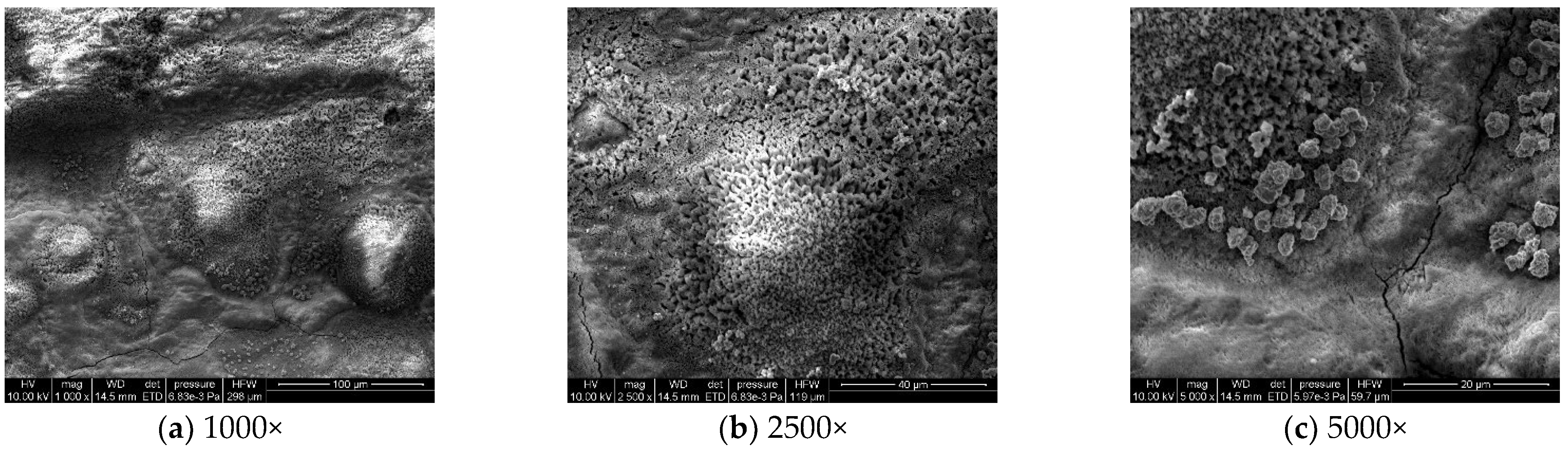 Materials 18 03923 g007