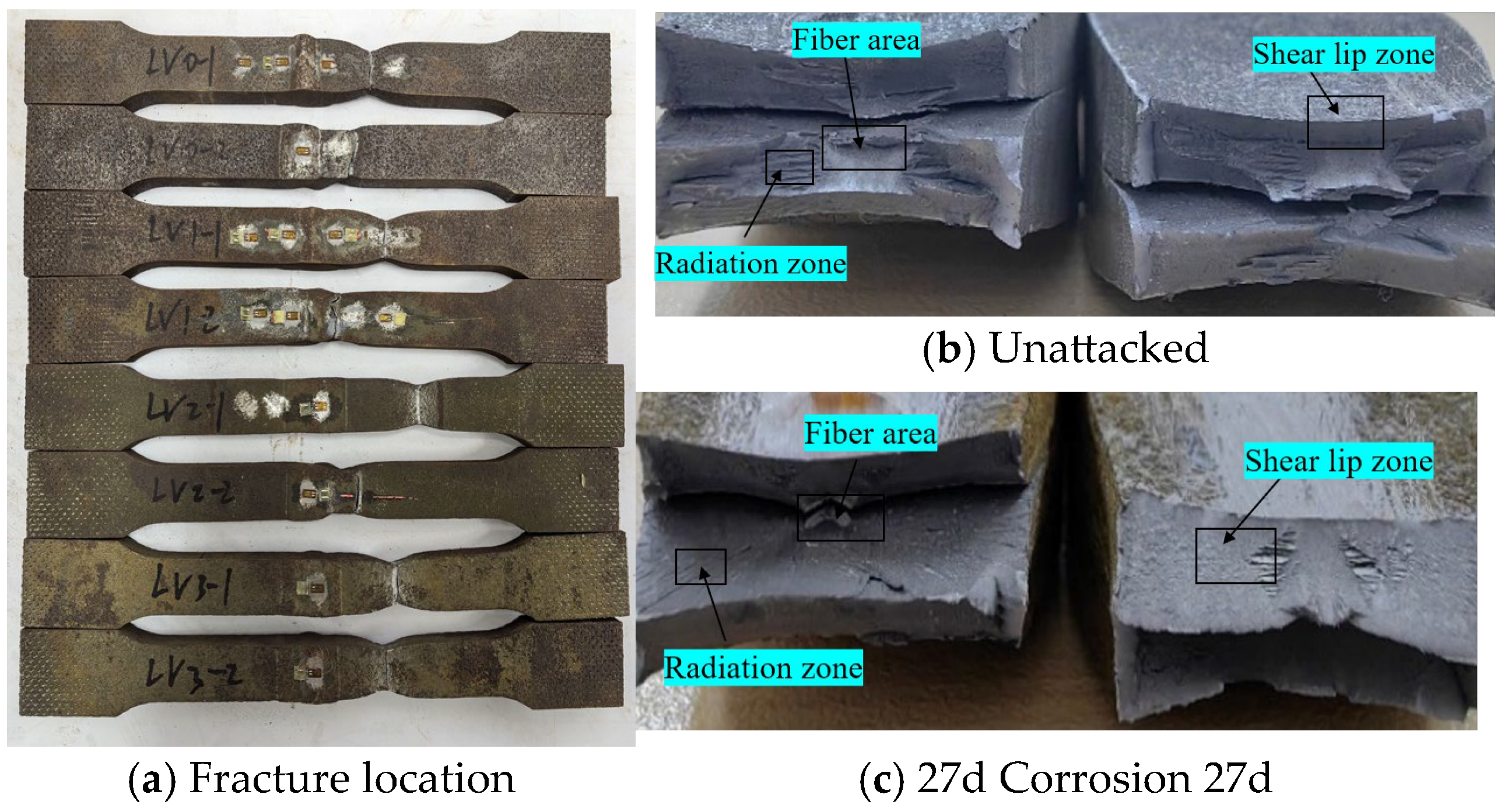 Materials 18 03923 g015