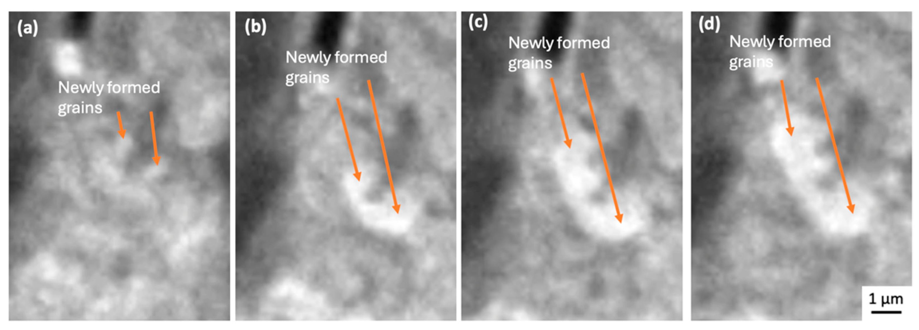 Materials 18 03925 g006