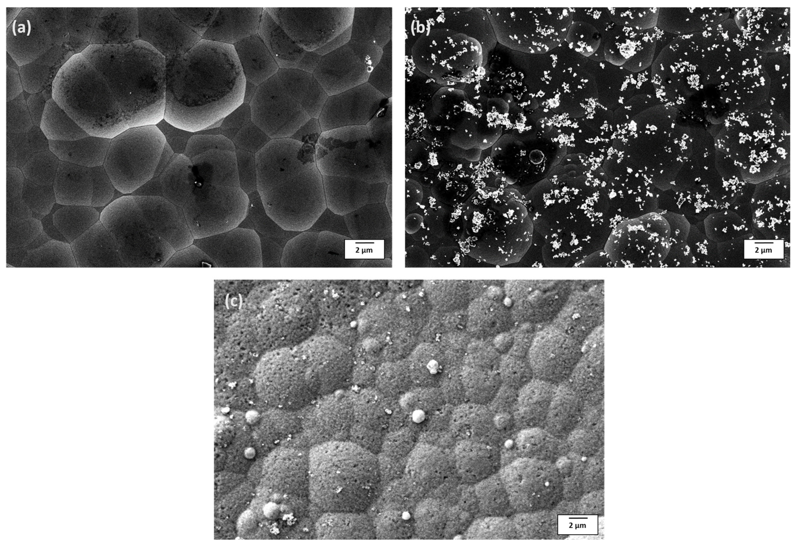 Materials 18 03949 g002 Materials 18 03949 g002