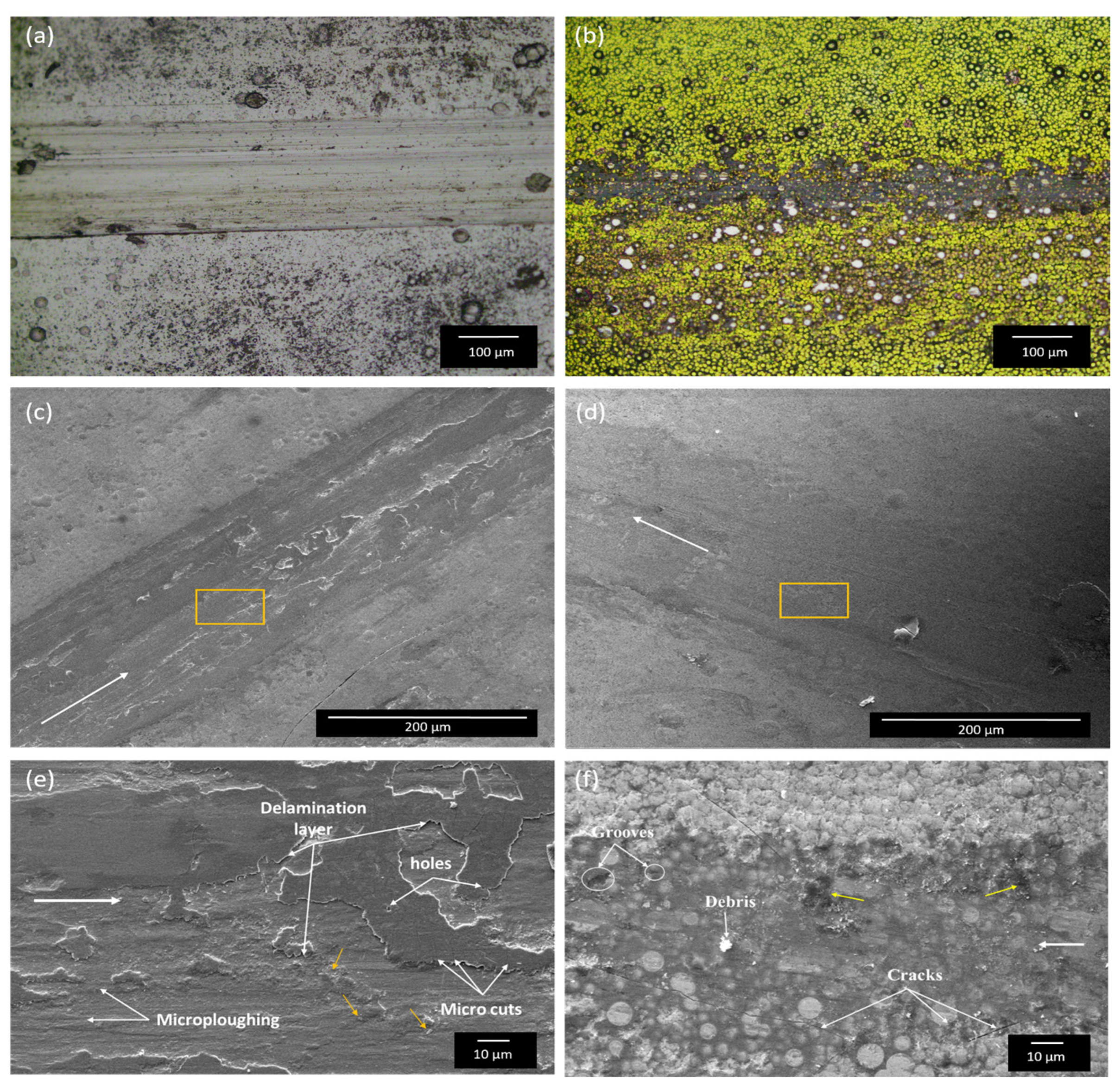 Materials 18 03949 g011 Materials 18 03949 g011