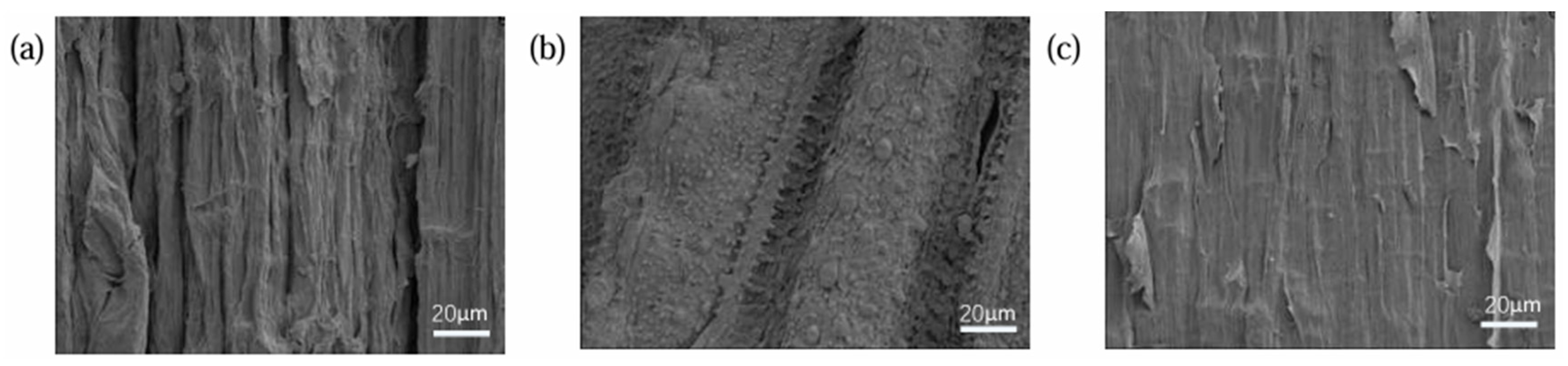 Materials 18 03978 g004 Materials 18 03978 g004