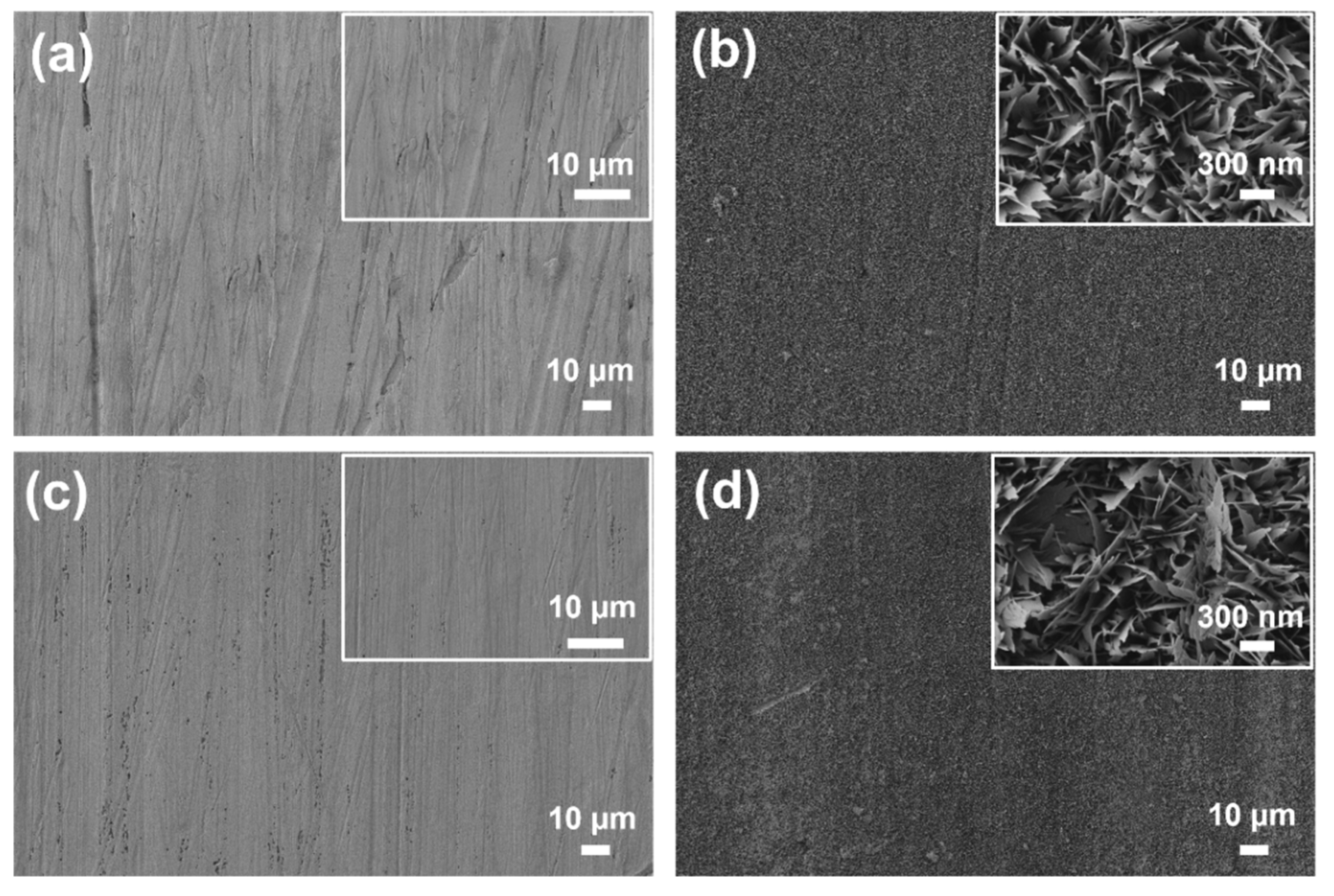 Materials 18 03981 g004 Materials 18 03981 g004