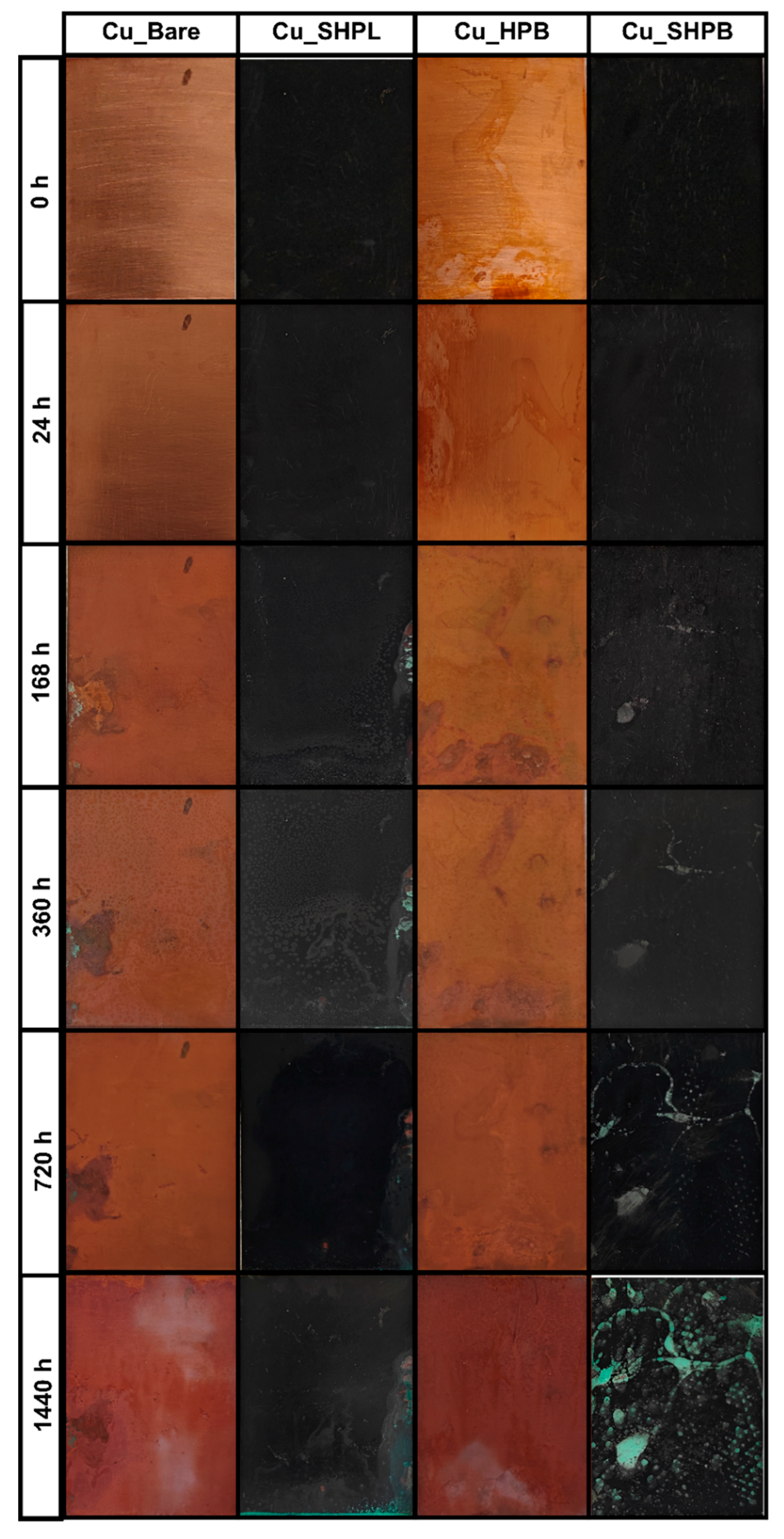 Materials 18 03981 g010 Materials 18 03981 g010