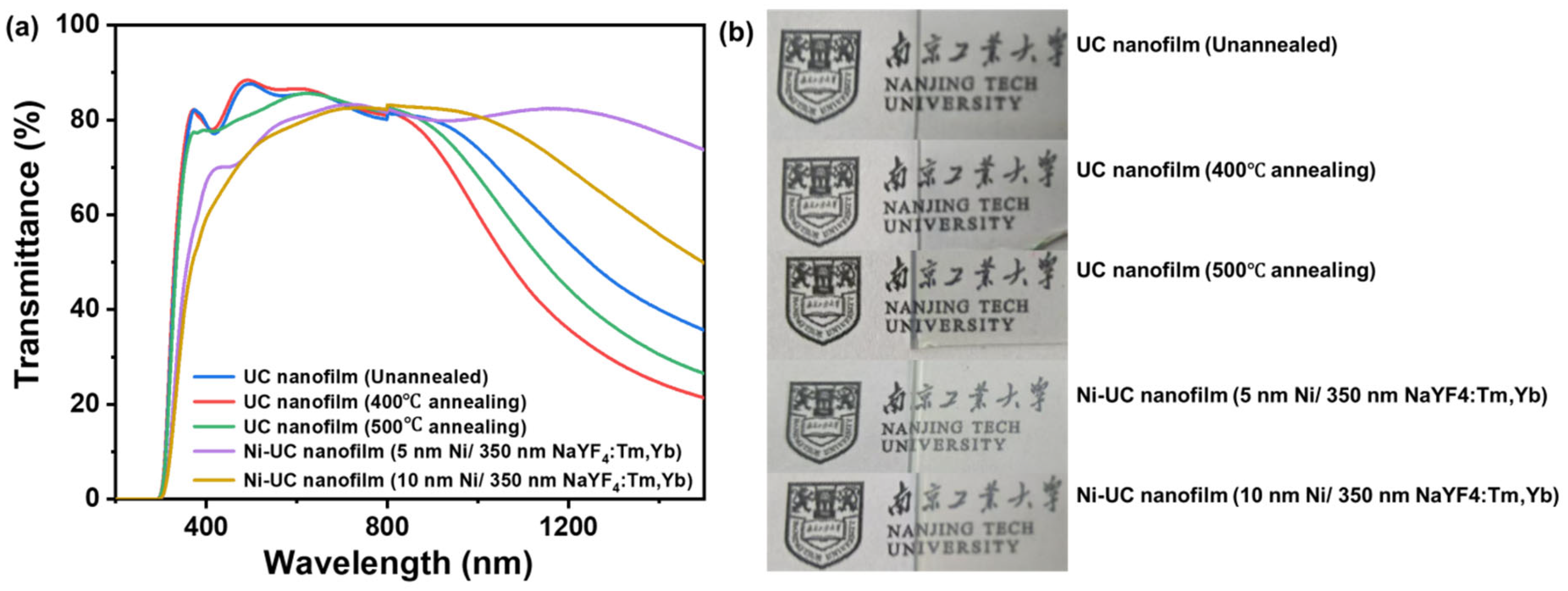 Materials 18 03995 g008
