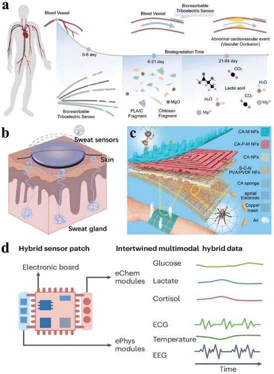 Materials 18 04010 g010