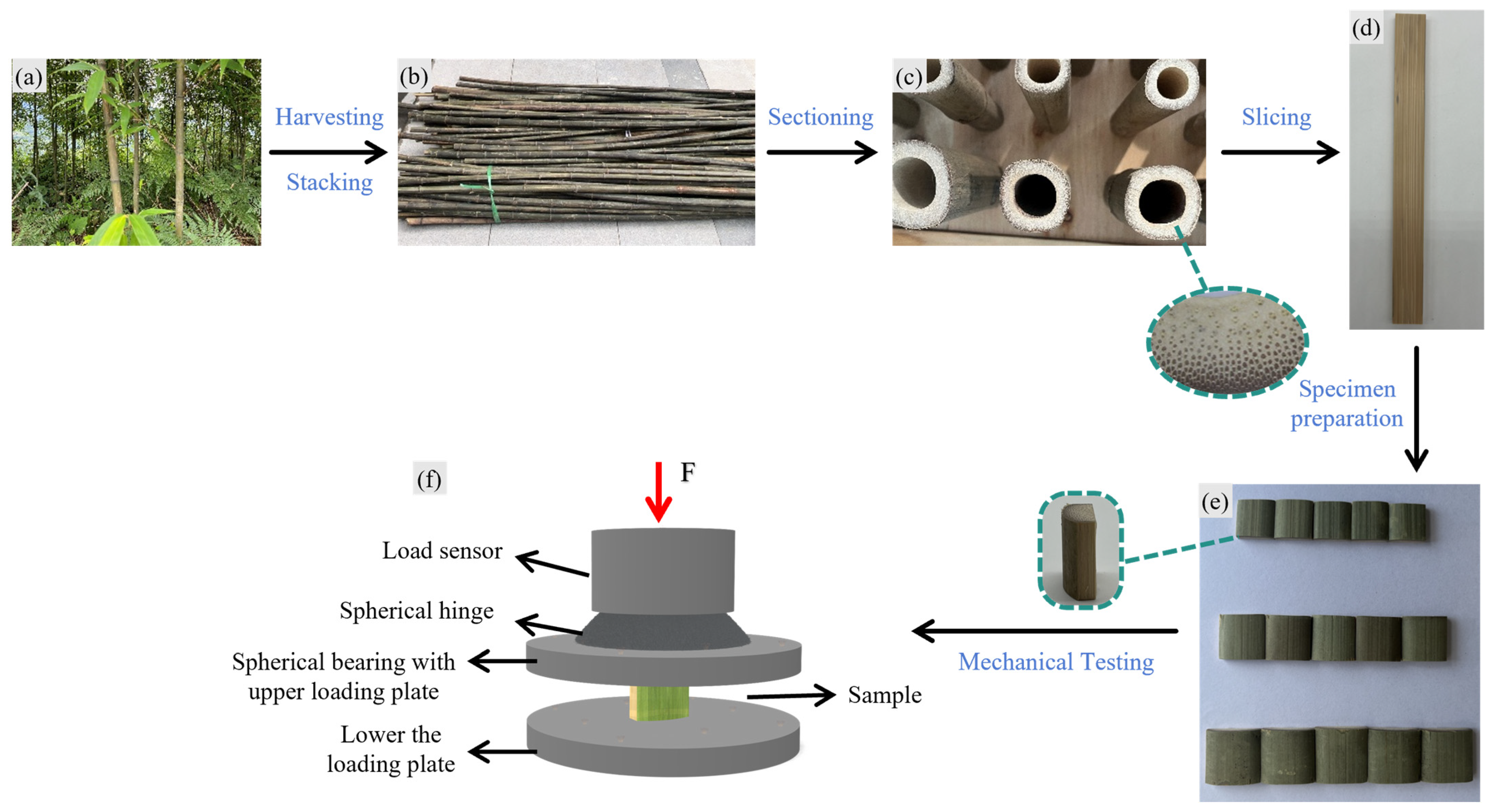 Materials 18 04013 g001 Materials 18 04013 g001